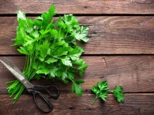 Fresh Parsley