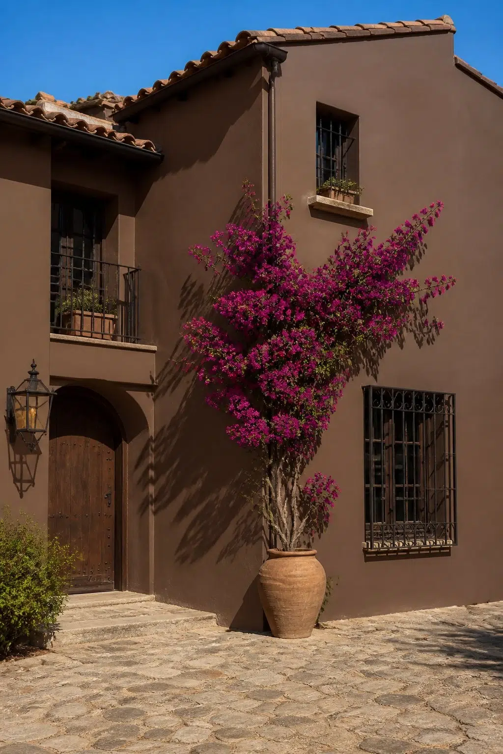 Brevity Brown color — mediterranean house inspiration