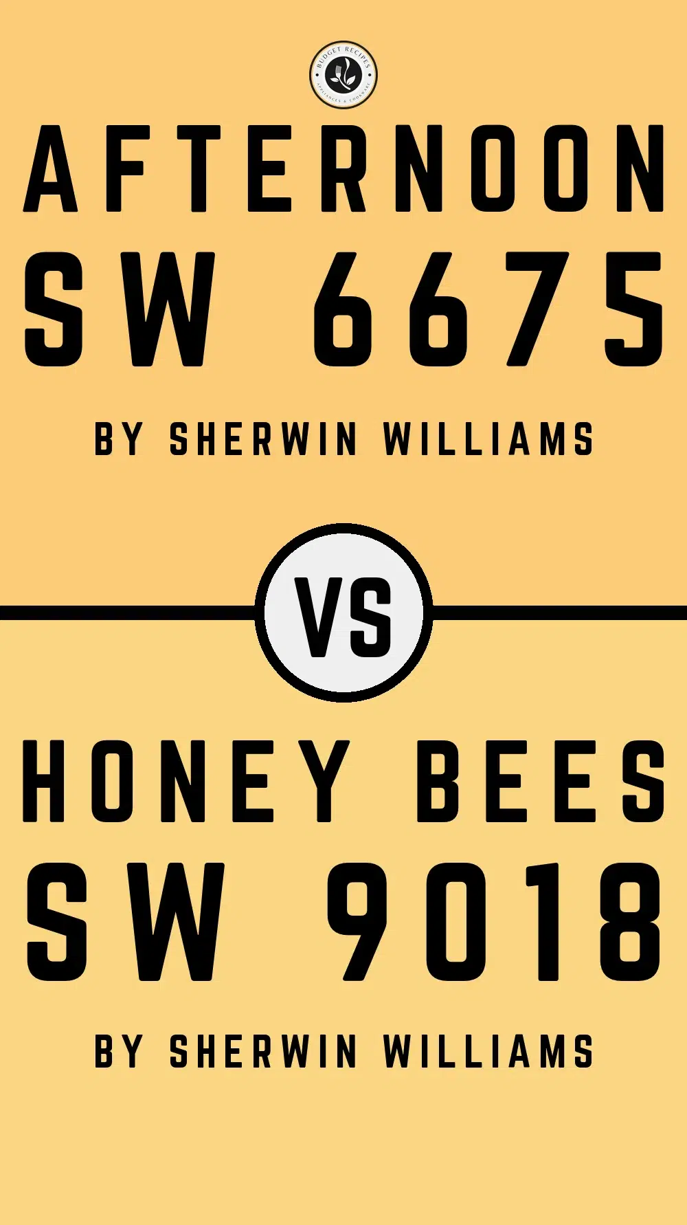 Afternoon SW 6675 vs Honey Bees SW 9018