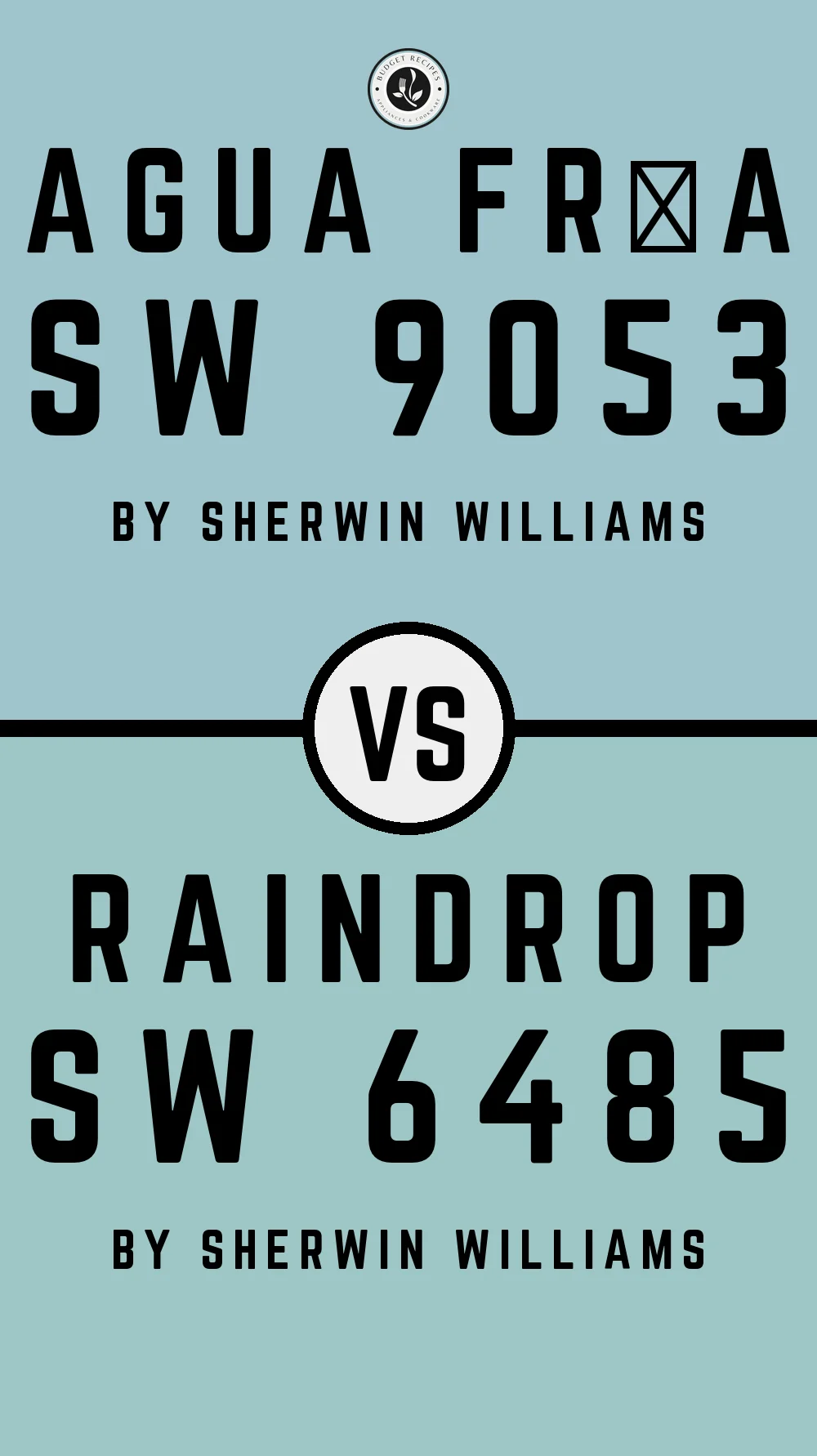 Agua Fría SW 9053 vs Raindrop SW 6485