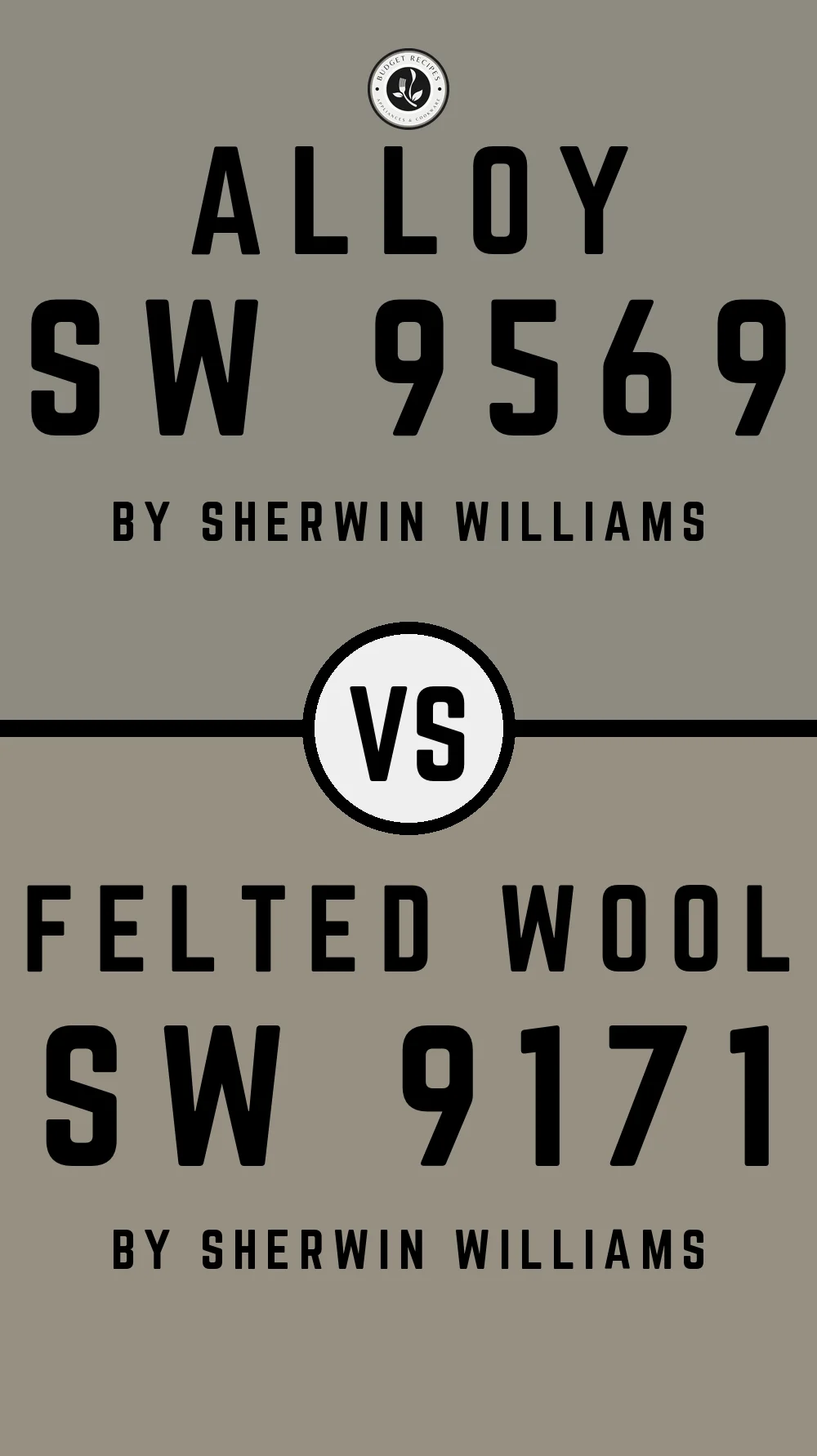 Alloy SW 9569 vs Felted Wool SW 9171