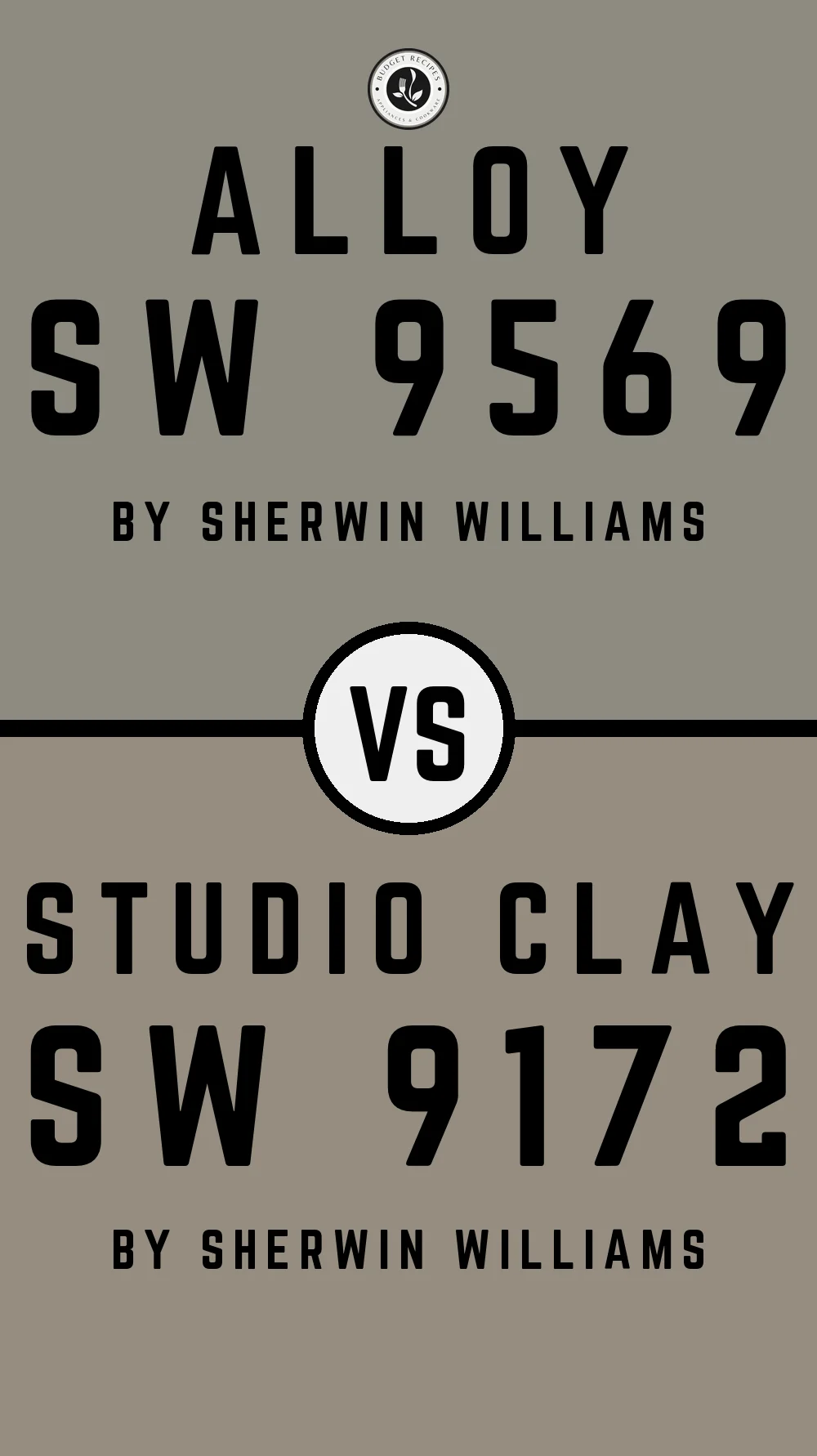 Alloy SW 9569 vs Studio Clay SW 9172