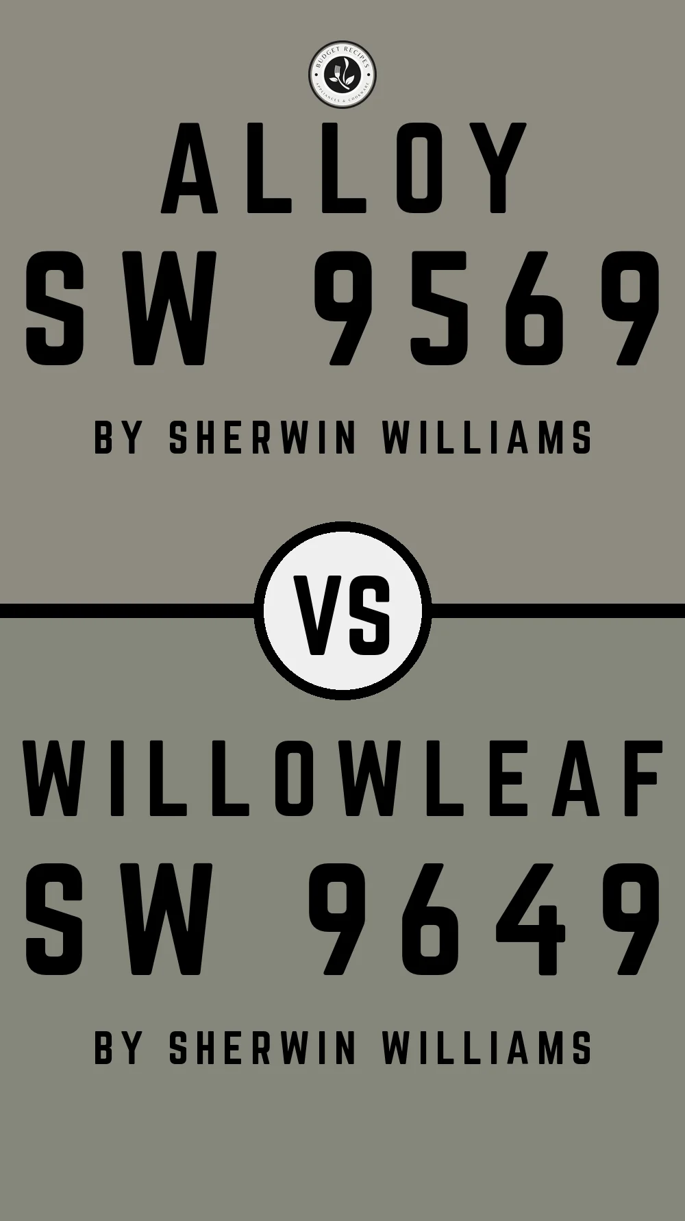 Alloy SW 9569 vs Willowleaf SW 9649