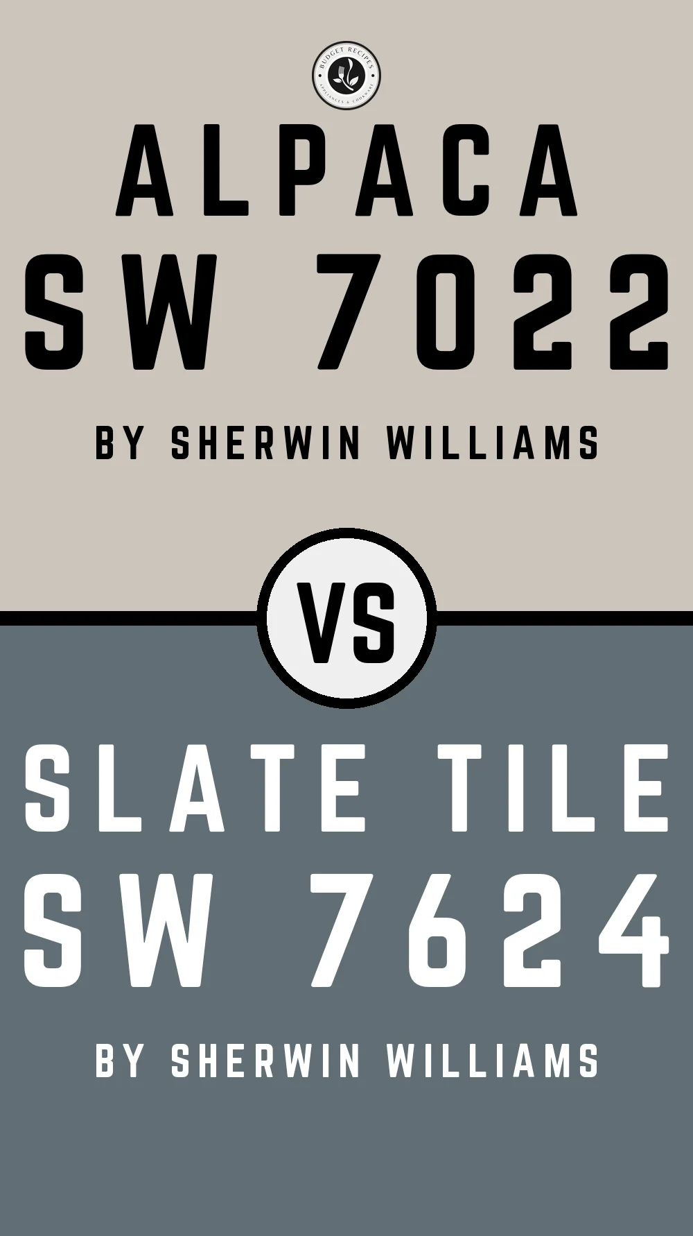 Alpaca by Sherwin Williams SW 7022 with Slate Tile SW 7624