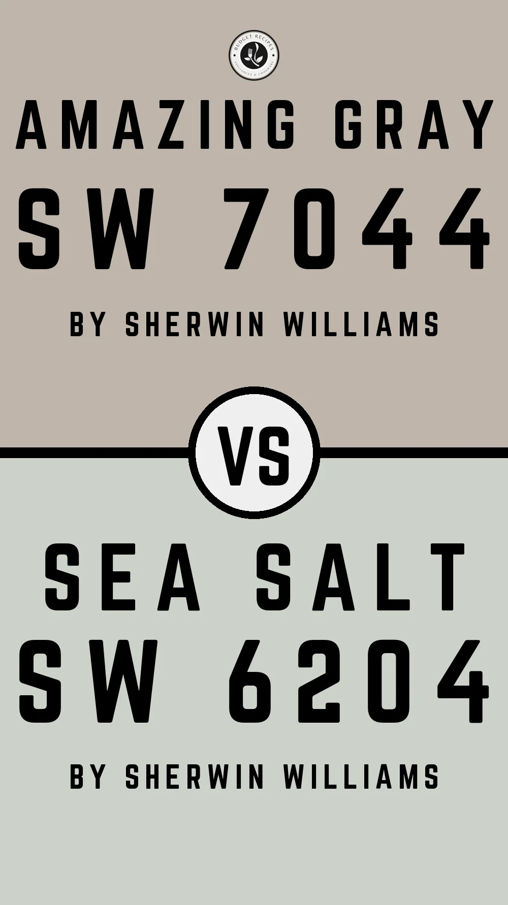 Amazing Gray by Sherwin Williams SW 7044 with Sea Salt SW 6204