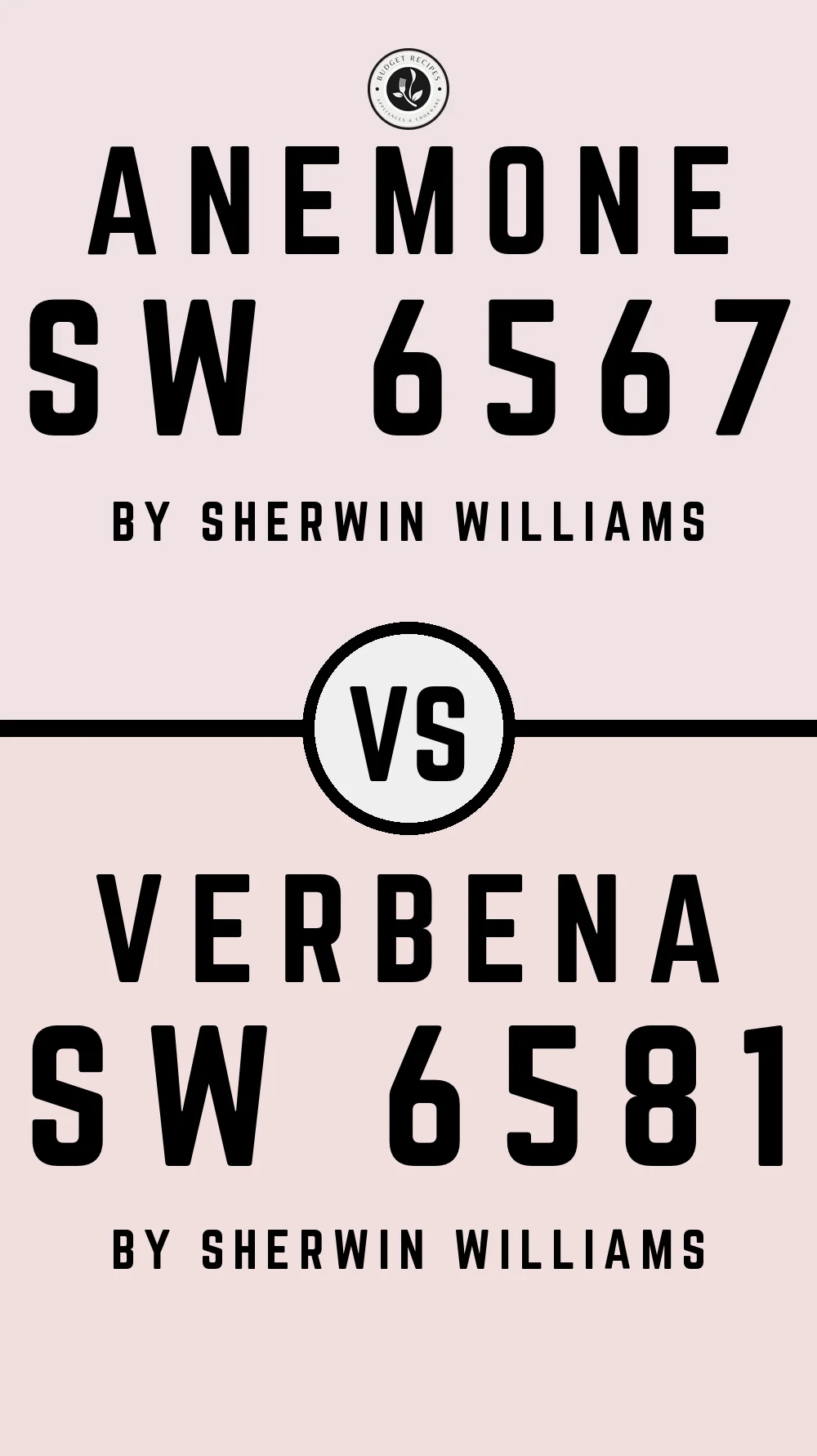 Anemone SW 6567 vs Verbena SW 6581