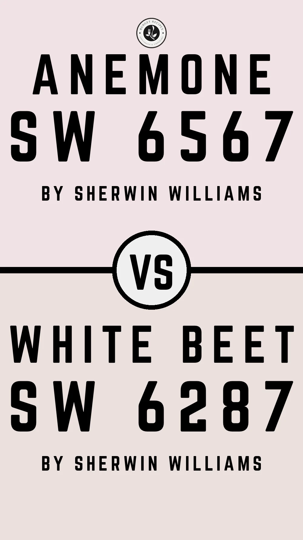 Anemone SW 6567 vs White Beet SW 6287
