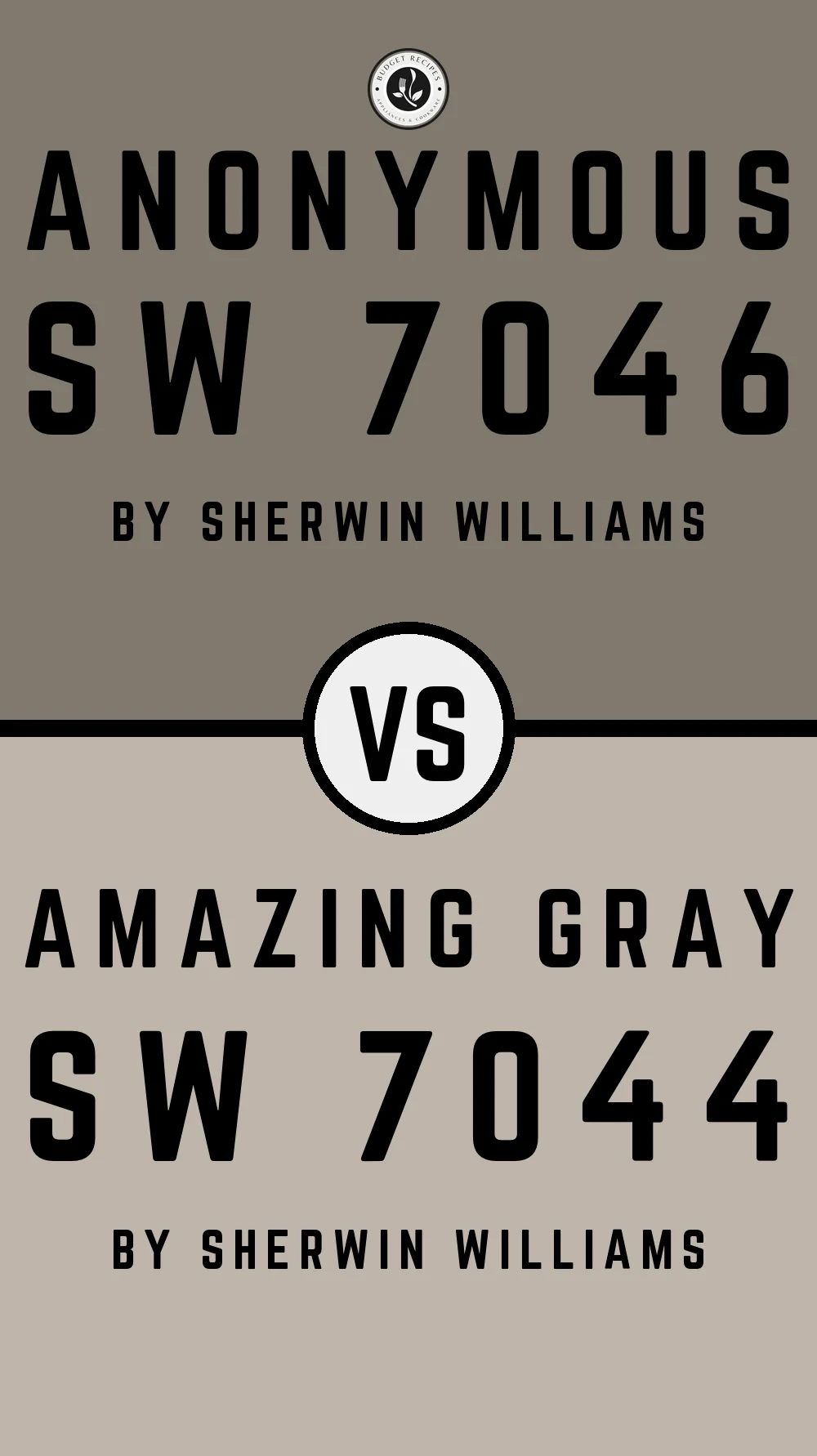 Anonymous SW 7046 vs Amazing Gray SW 7044
