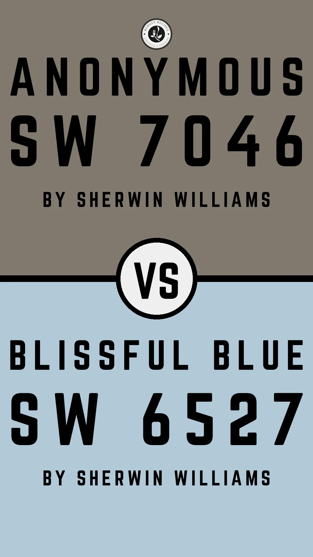 Anonymous by Sherwin Williams SW 7046 With Blithe Blue SW 6527