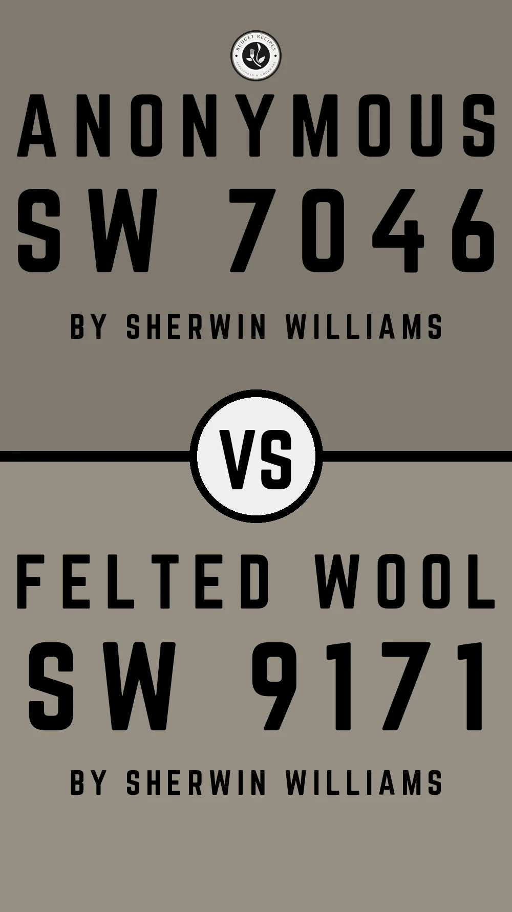 Anonymous by Sherwin Williams SW 7046 vs Felted Wool SW 9171