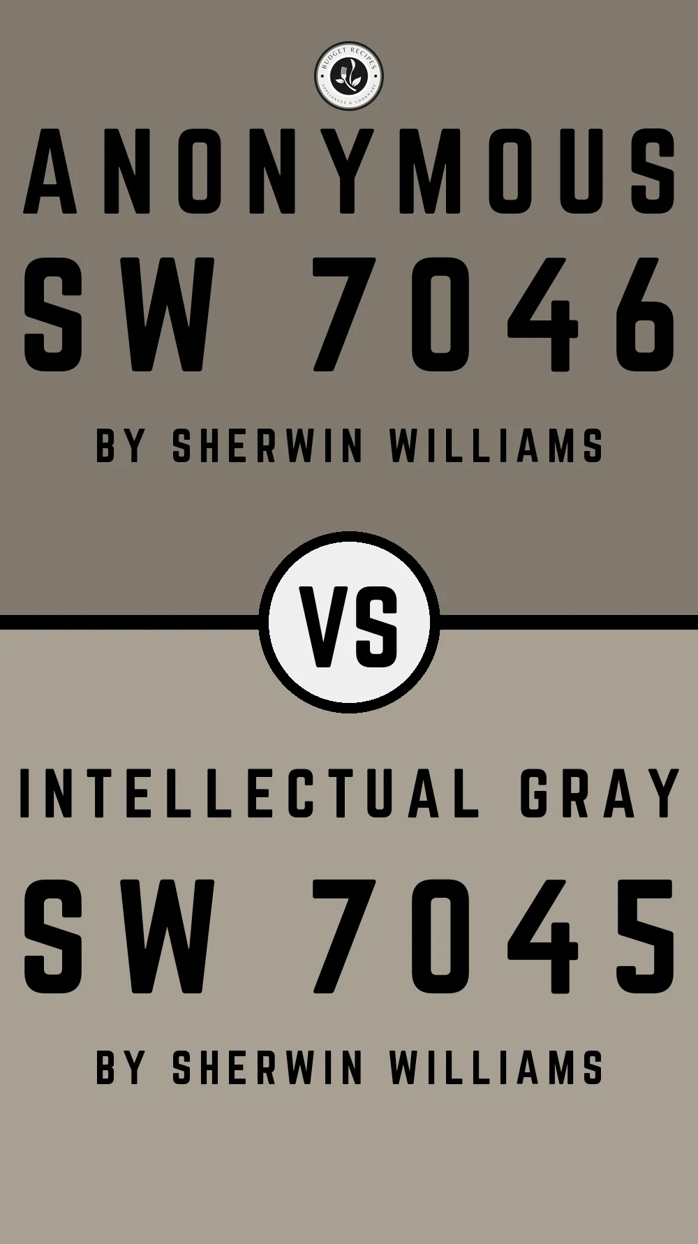 Anonymous by Sherwin Williams SW 7046 vs Intellectual Gray SW 7045