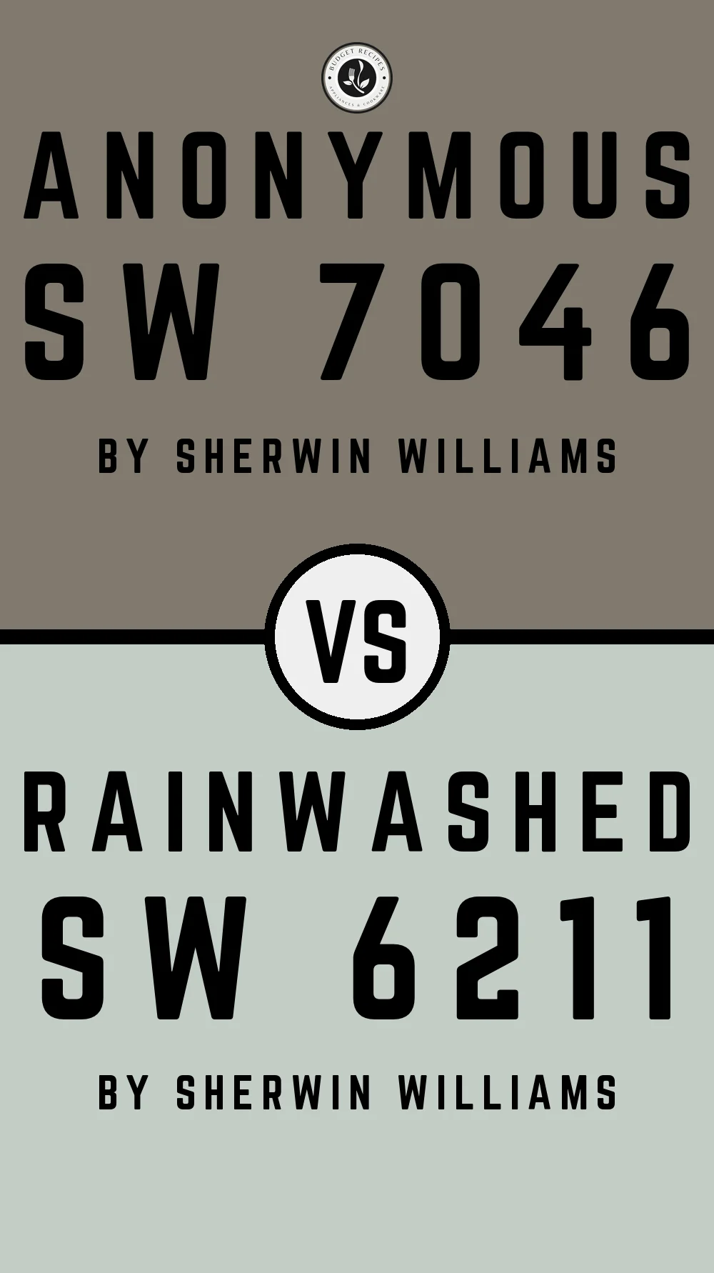 Anonymous by Sherwin Williams SW 7046 With Rainwashed SW 6211