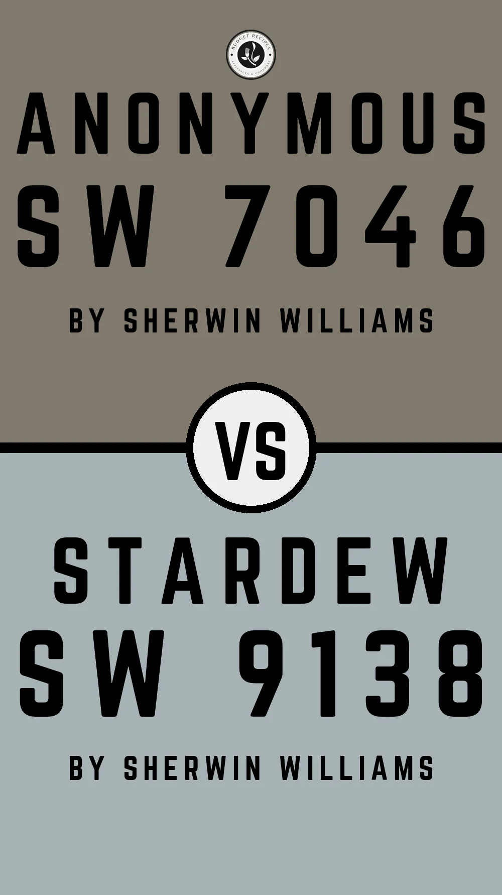 Anonymous by Sherwin Williams SW 7046 With Stardew SW 9138