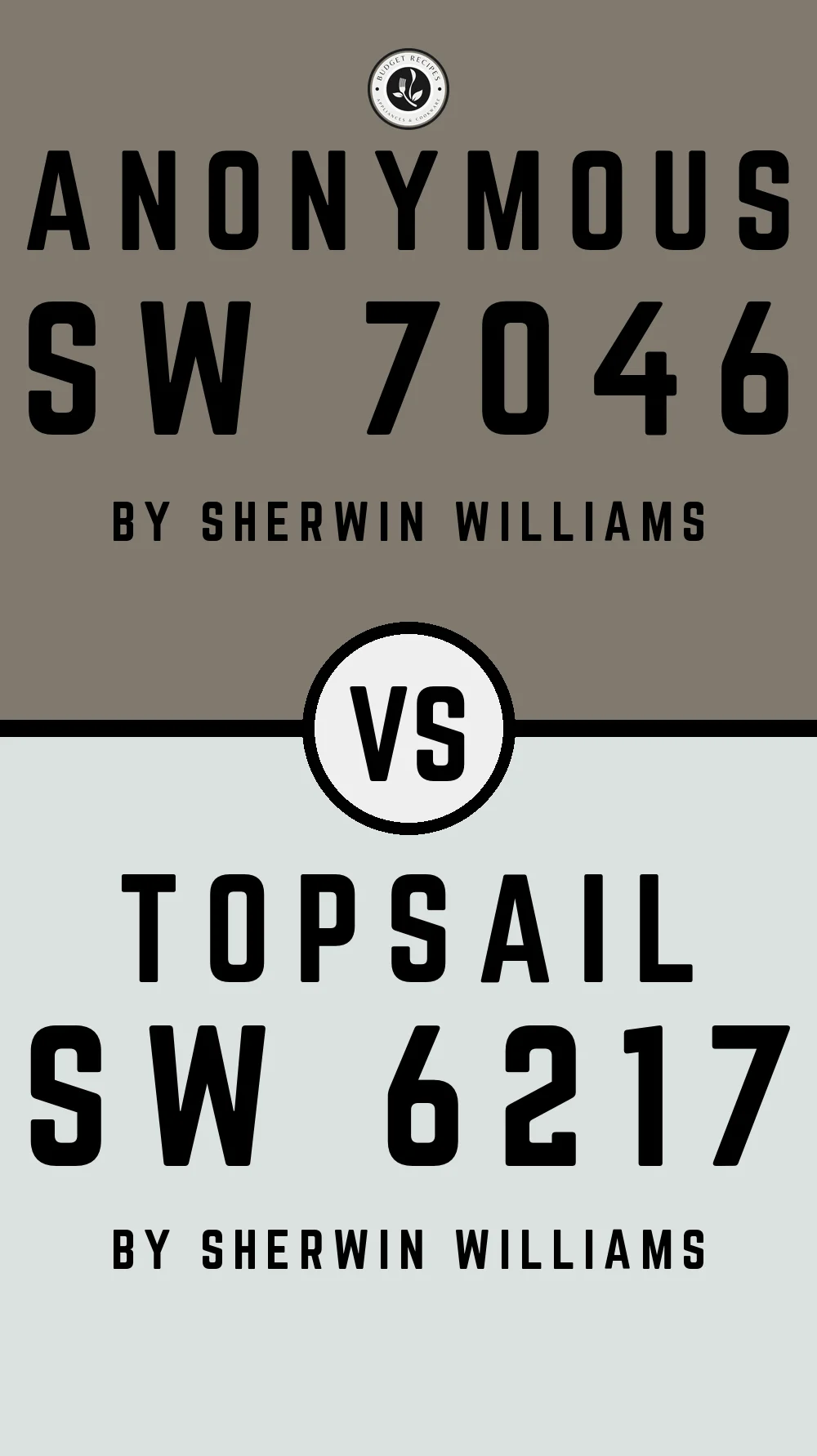Anonymous by Sherwin Williams SW 7046 With Topsail SW 6217