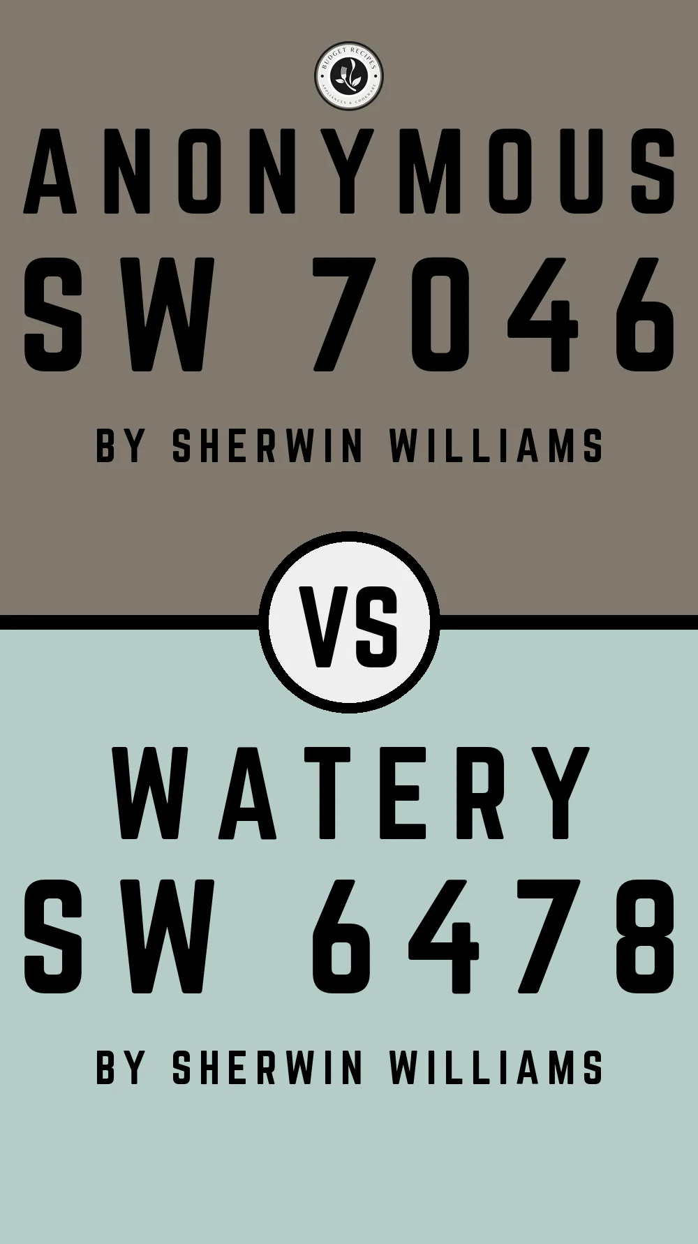 Anonymous by Sherwin Williams SW 7046 With Watery SW 6478