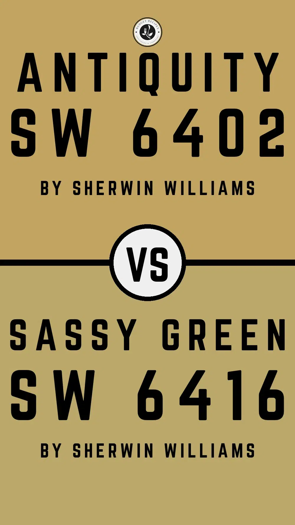 Antiquity SW 6402 vs Sassy Green SW 6416