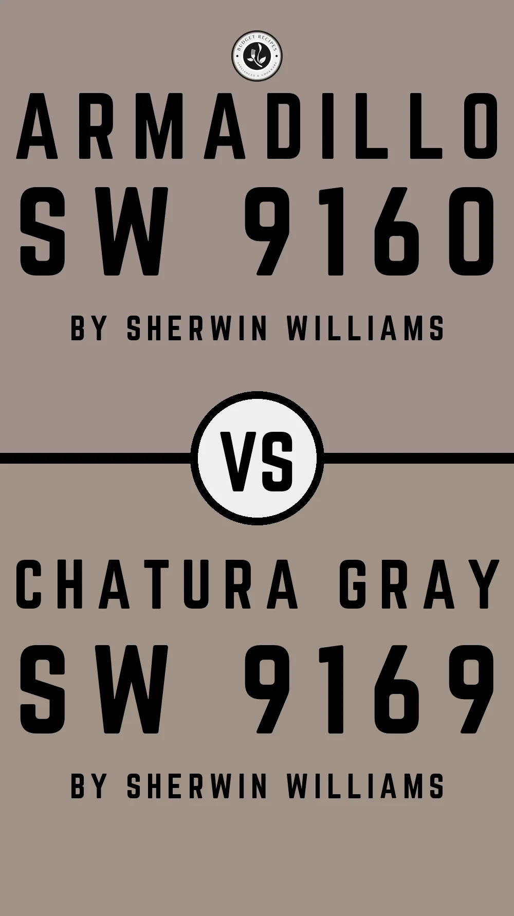 Armadillo SW 9160 vs Chatura Gray SW 9169