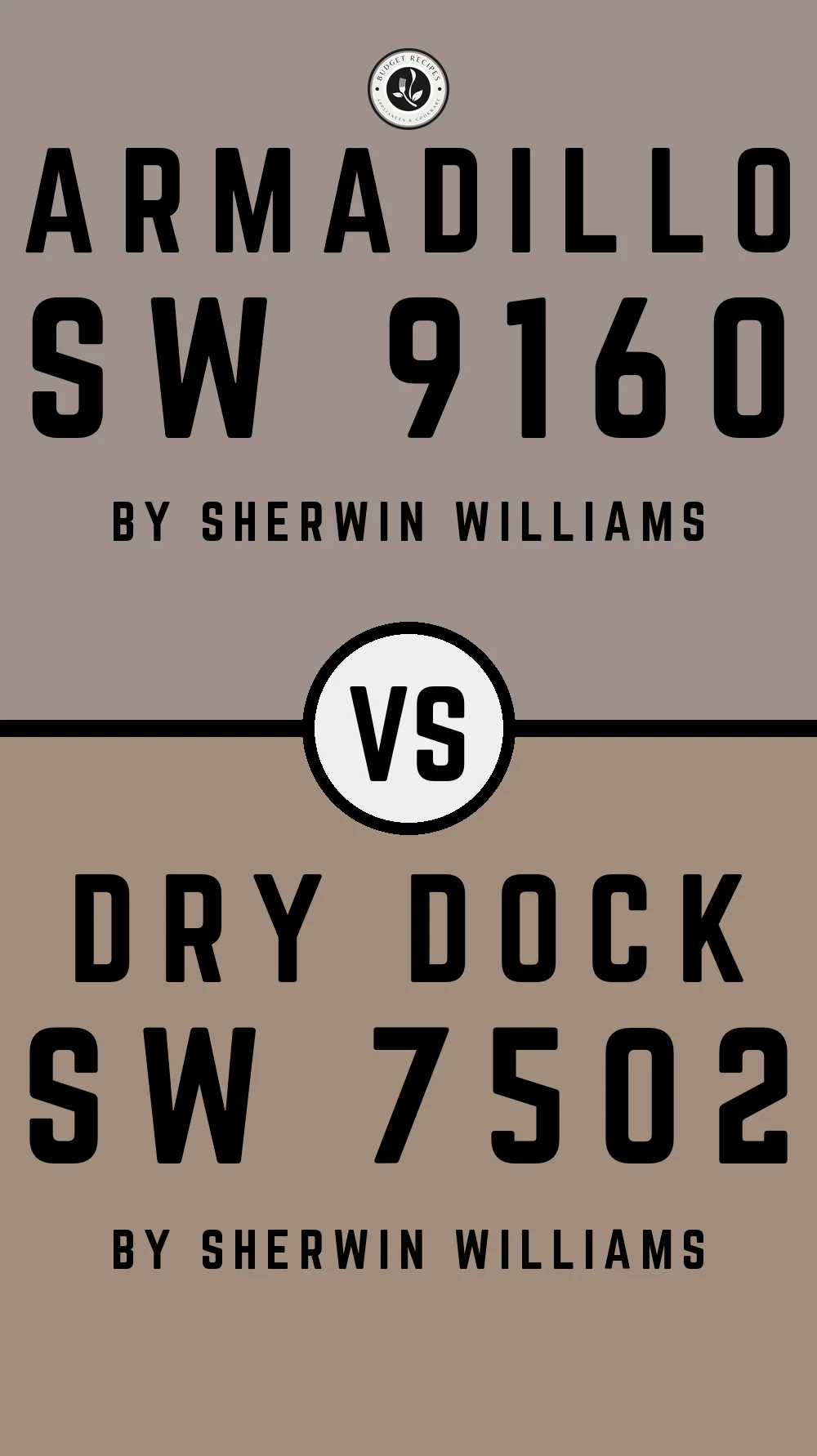 Armadillo SW 9160 vs Dry Dock SW 7502