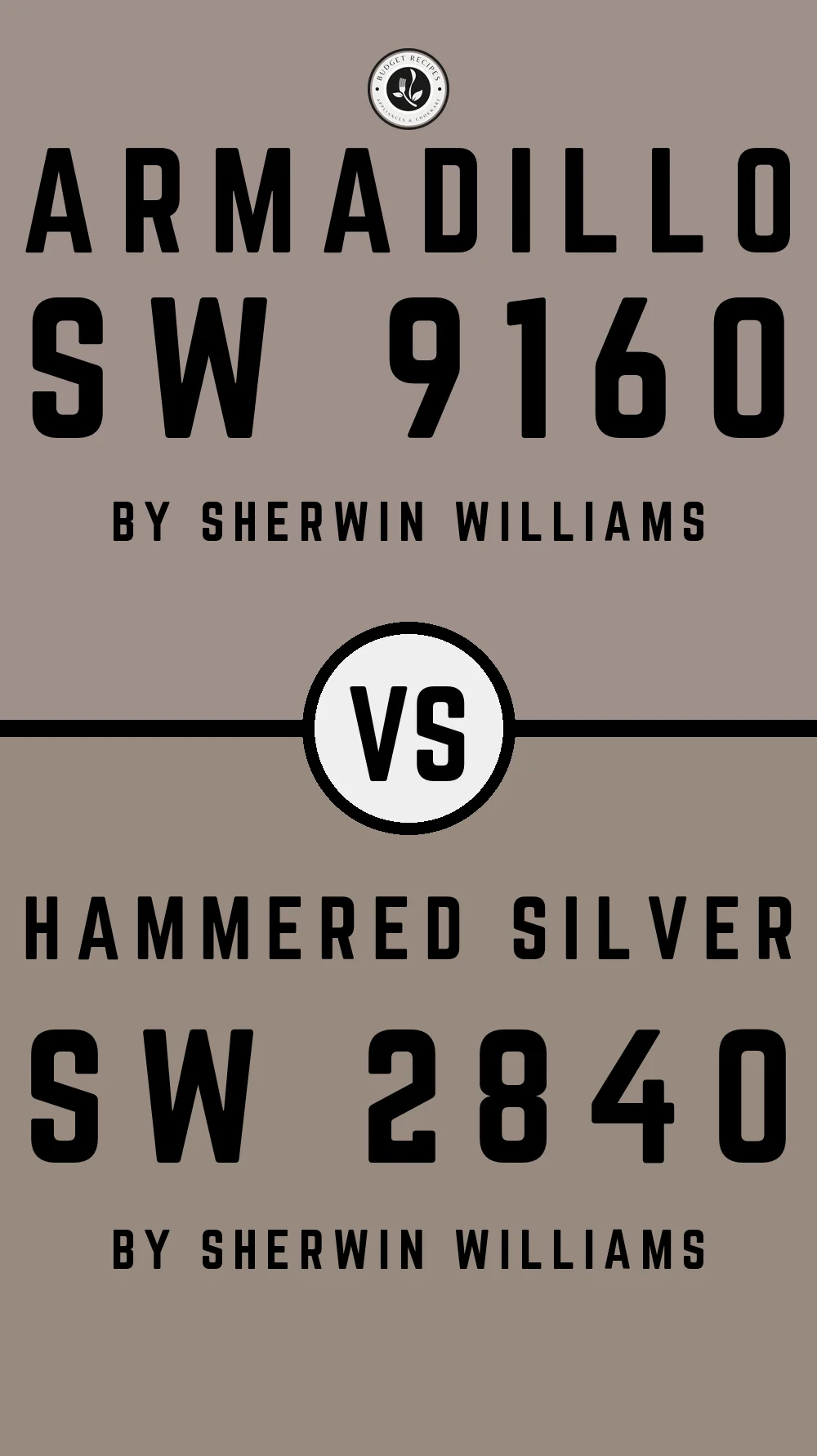 Armadillo SW 9160 vs Hammered Silver SW 2840