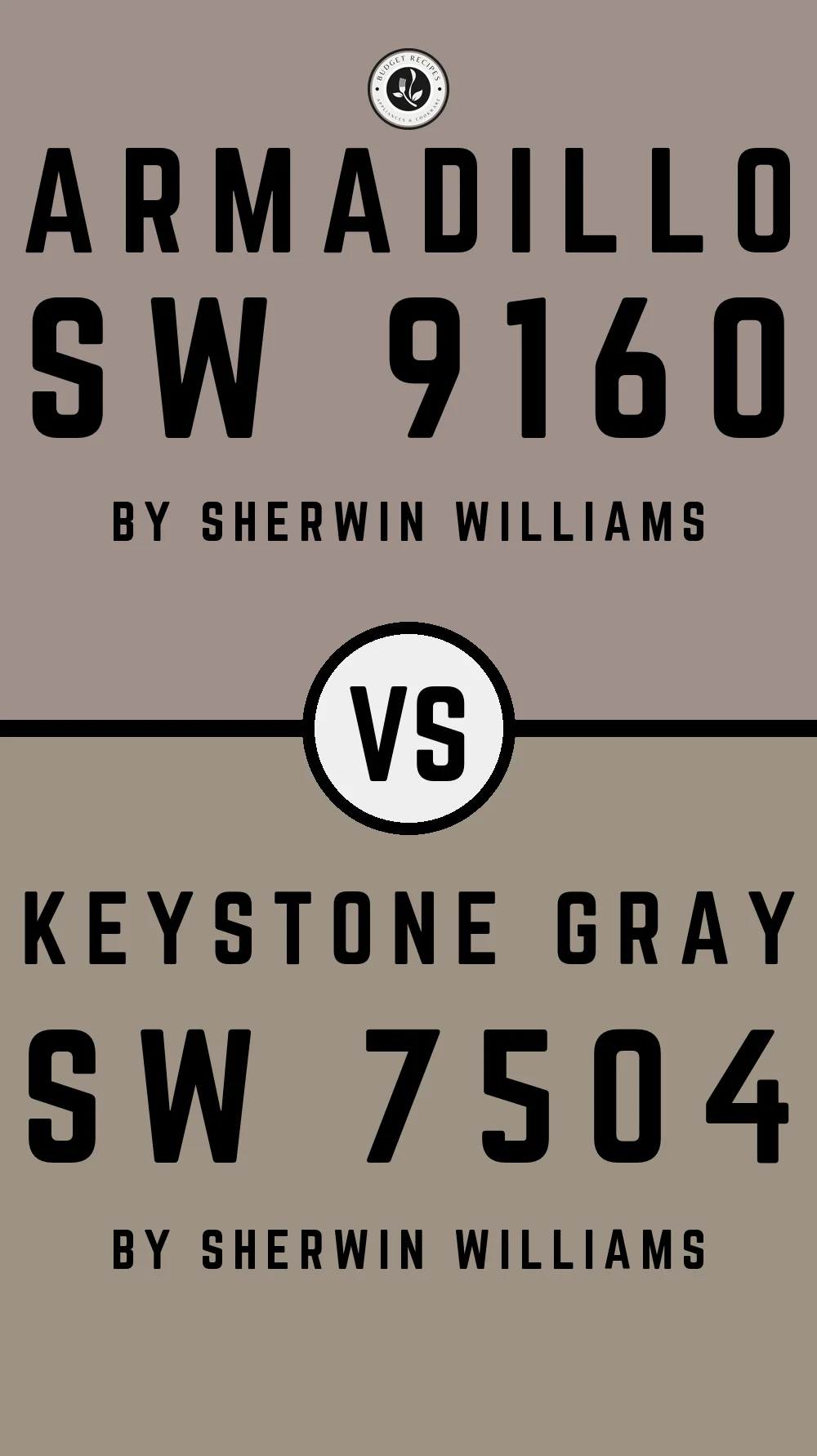 Armadillo SW 9160 vs Keystone Gray SW 7504
