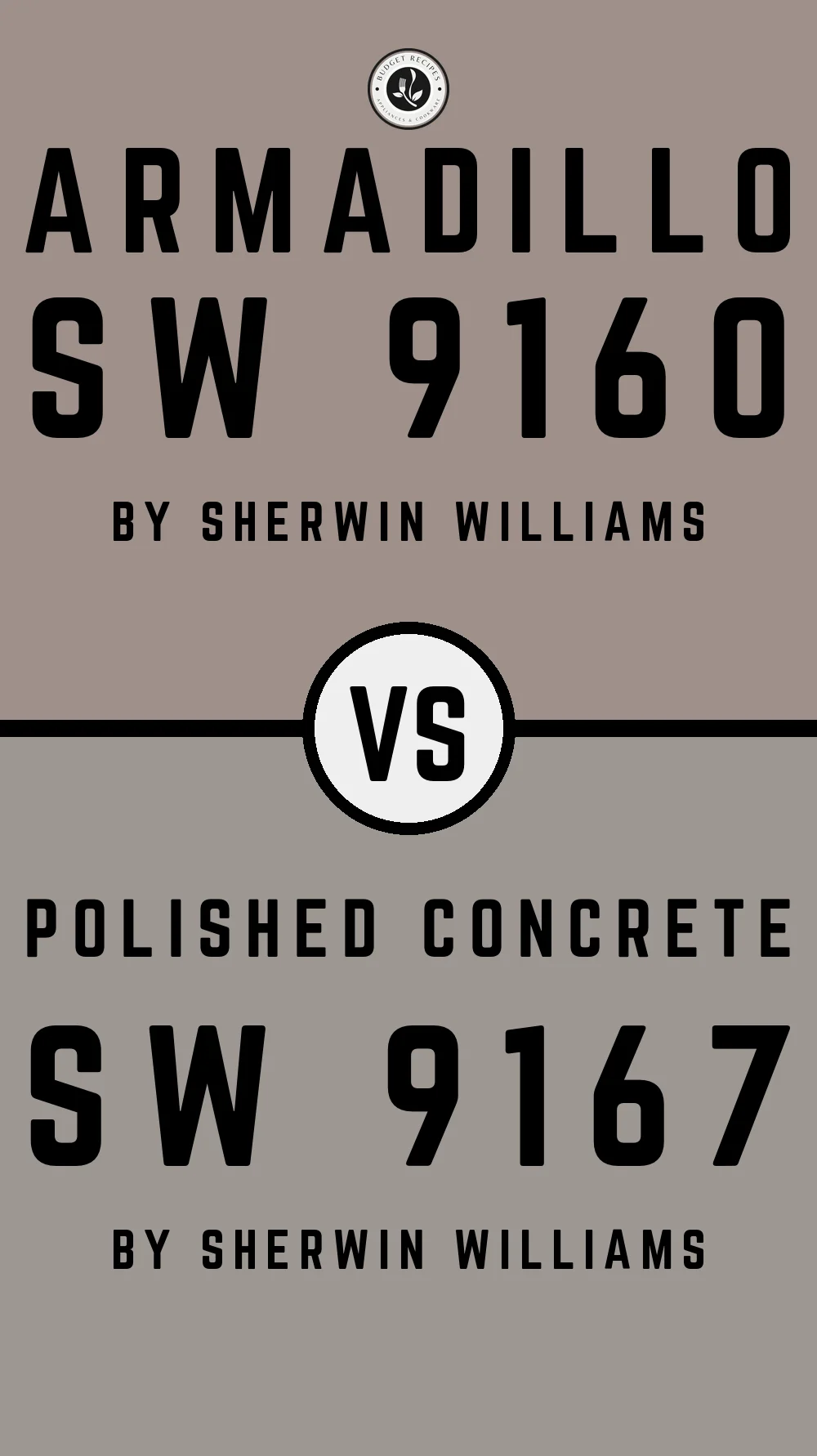 Armadillo SW 9160 vs Polished Concrete SW 9167