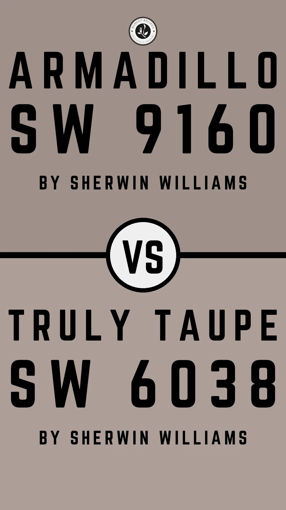 Armadillo SW 9160 vs Truly Taupe SW 6038
