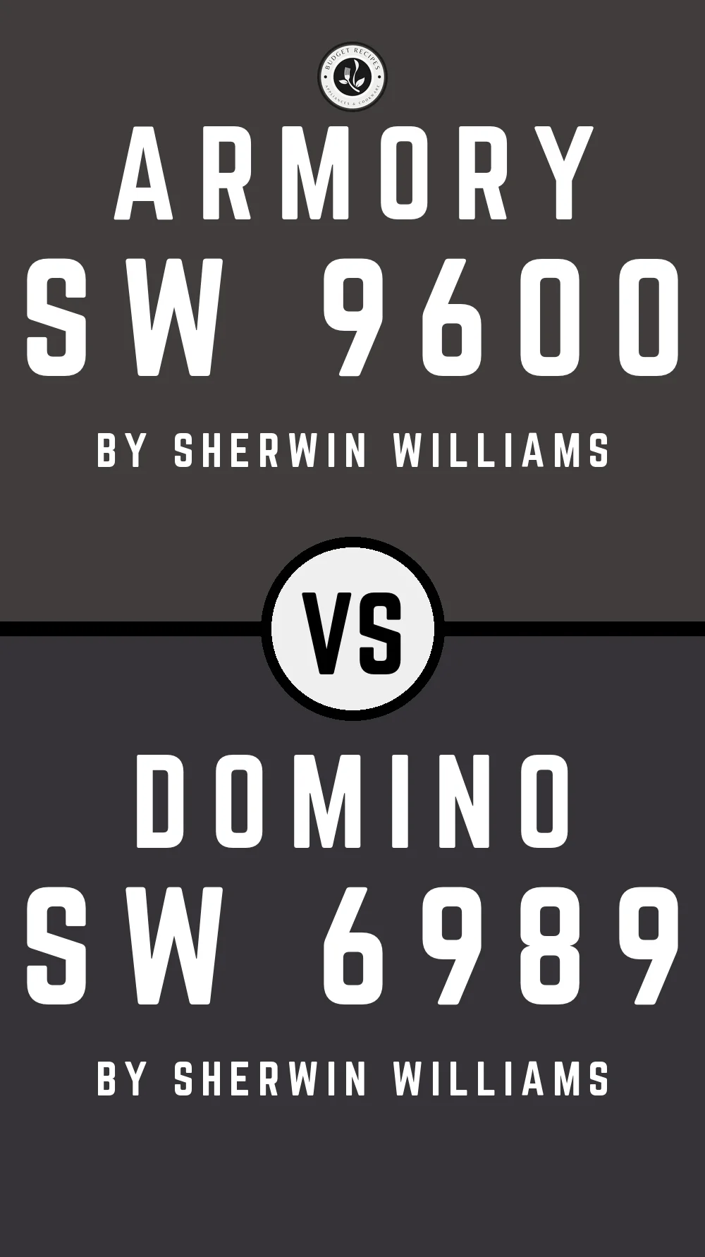 Armory SW 9600 vs Domino SW 6989