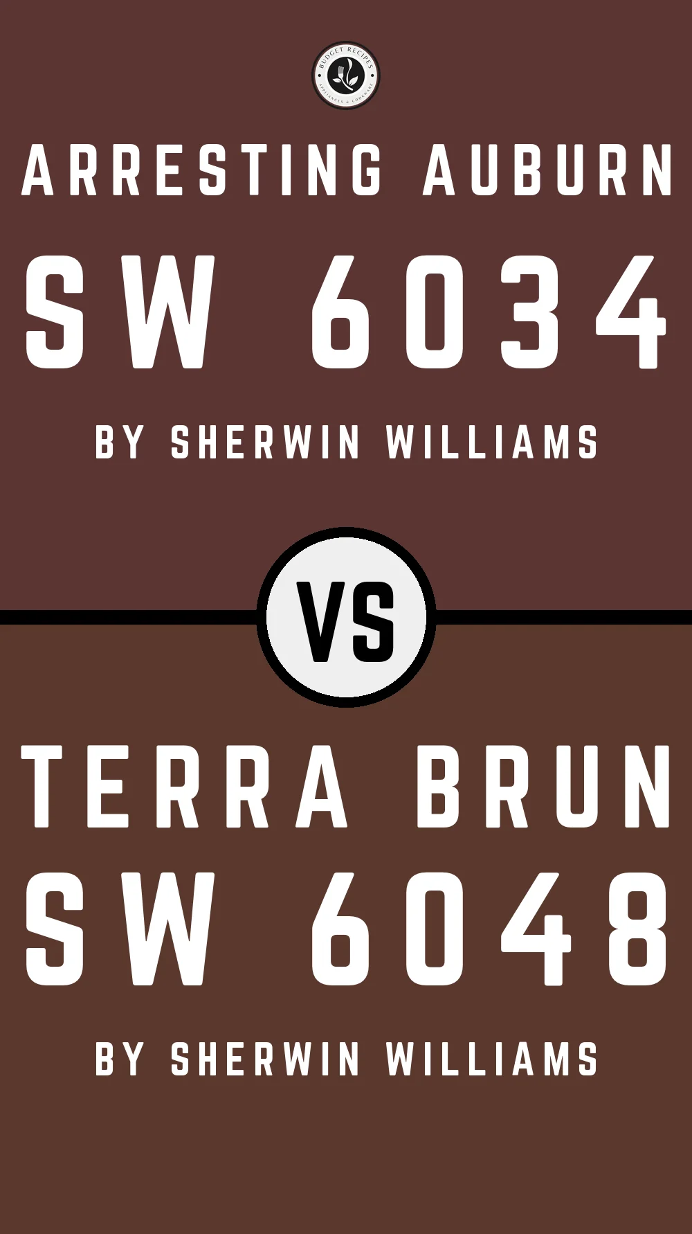 Arresting Auburn SW 6034 vs Terra Brun SW 6048