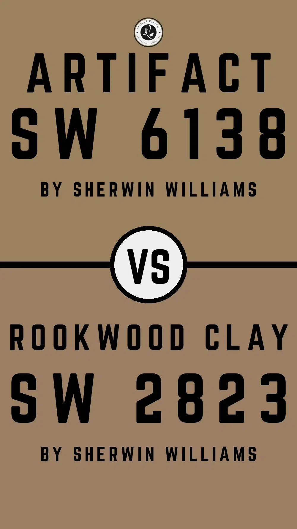 Artifact SW 6138 vs Rookwood Clay SW 2823