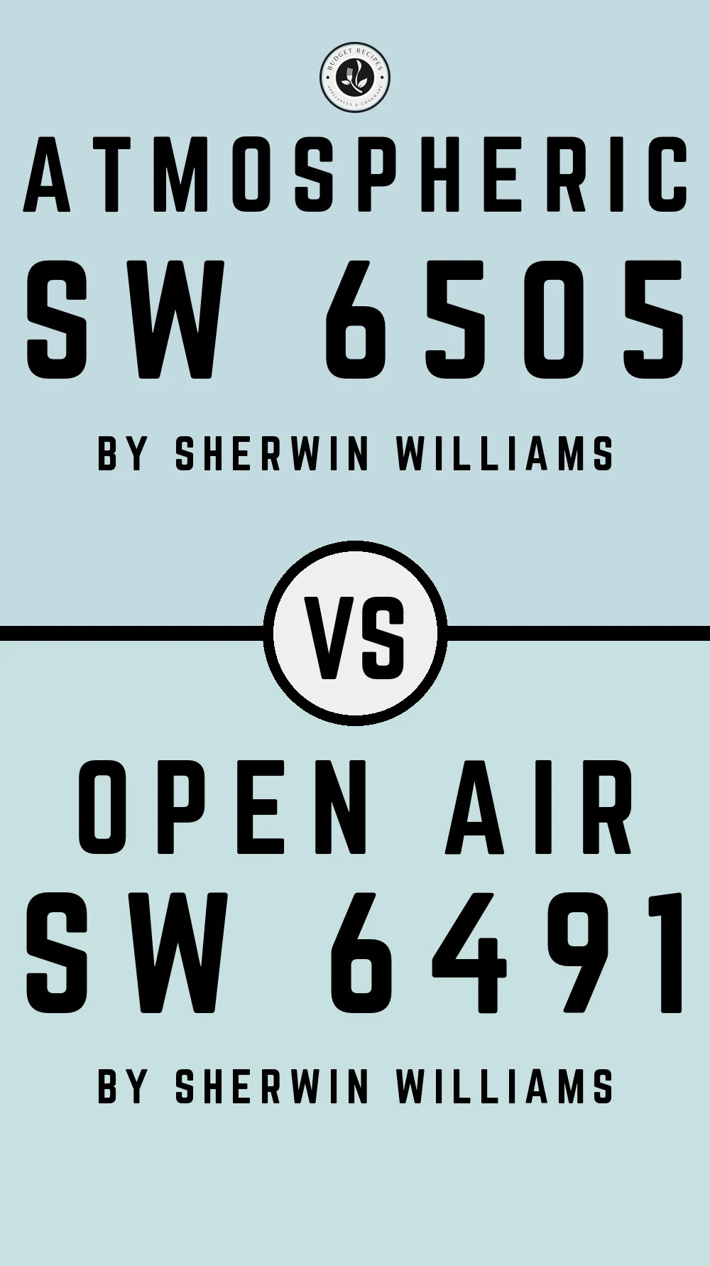 Atmospheric SW 6505 vs Open Air SW 6491