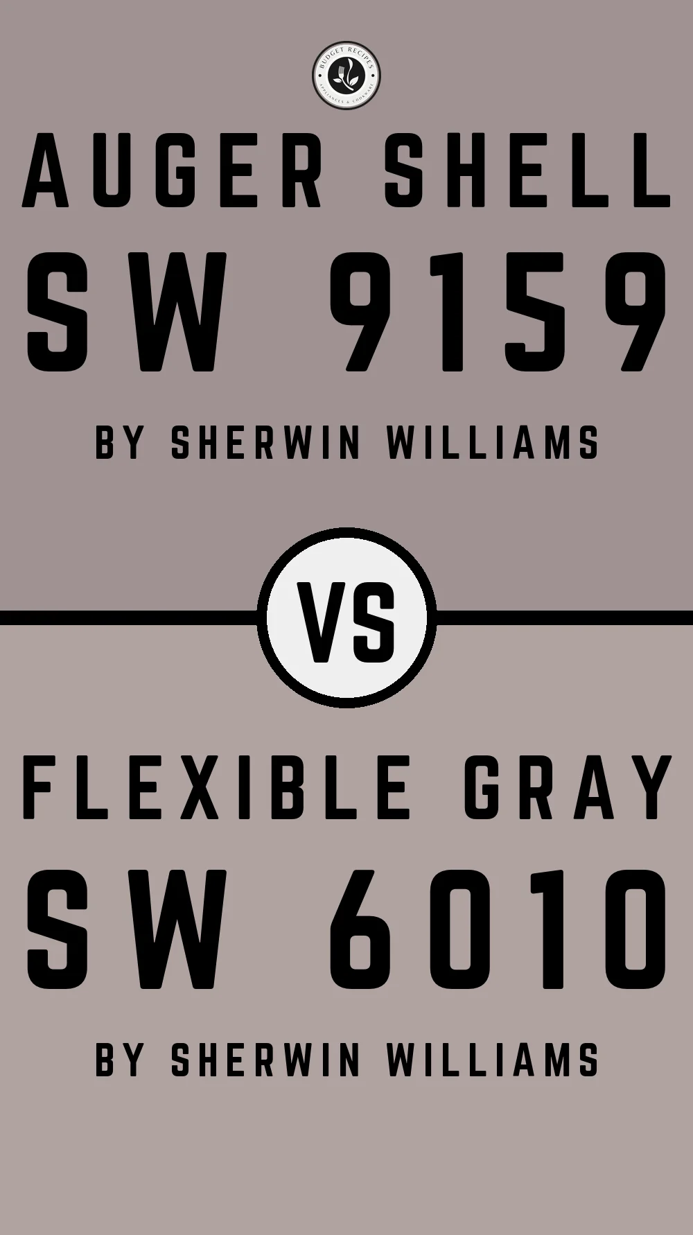 Auger Shell SW 9159 vs Flexible Gray SW 6010