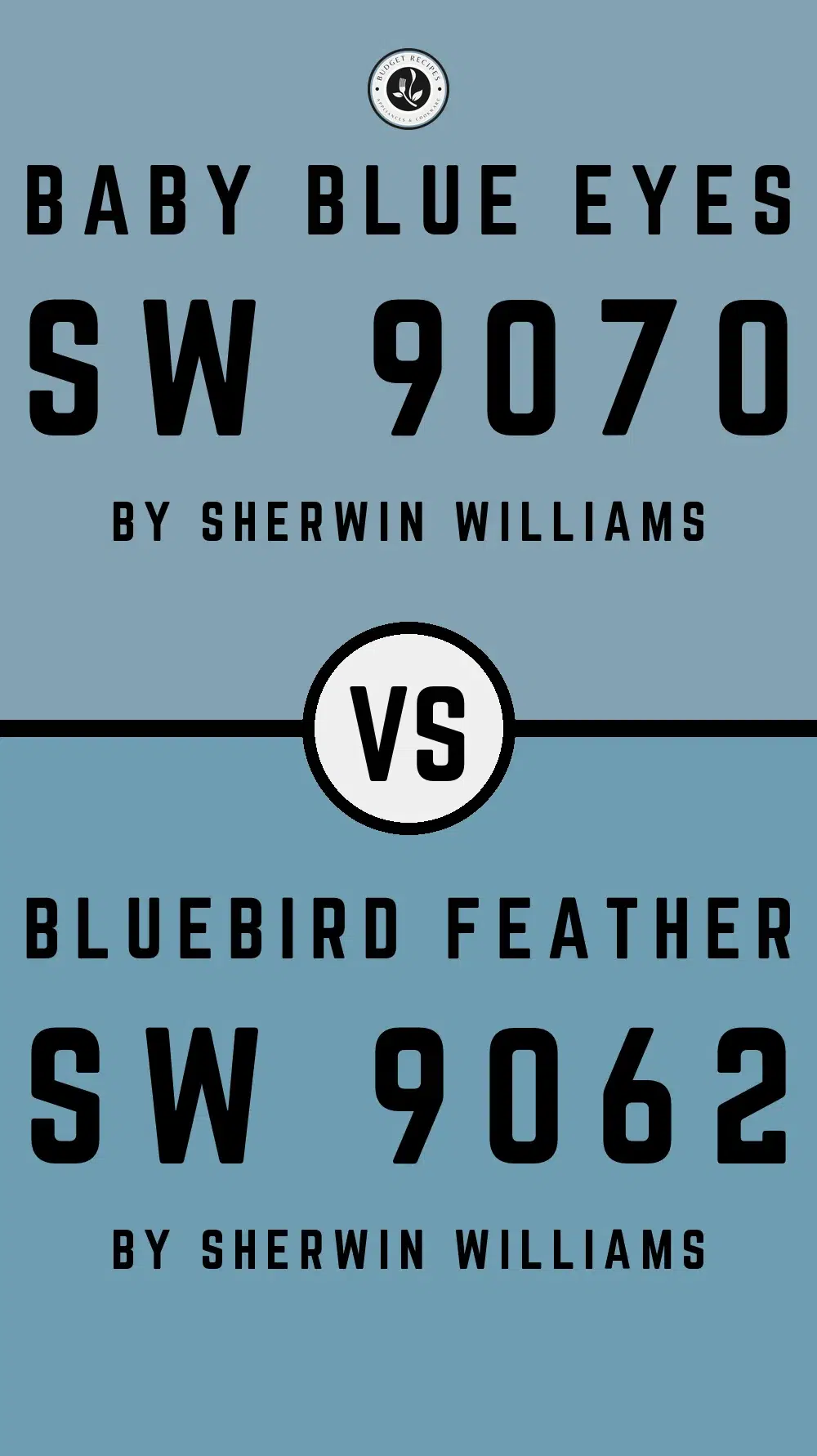 Baby Blue Eyes SW 9070 vs Bluebird Feather SW 9062