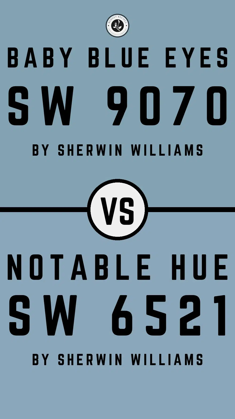Baby Blue Eyes SW 9070 vs Notable Hue SW 6521
