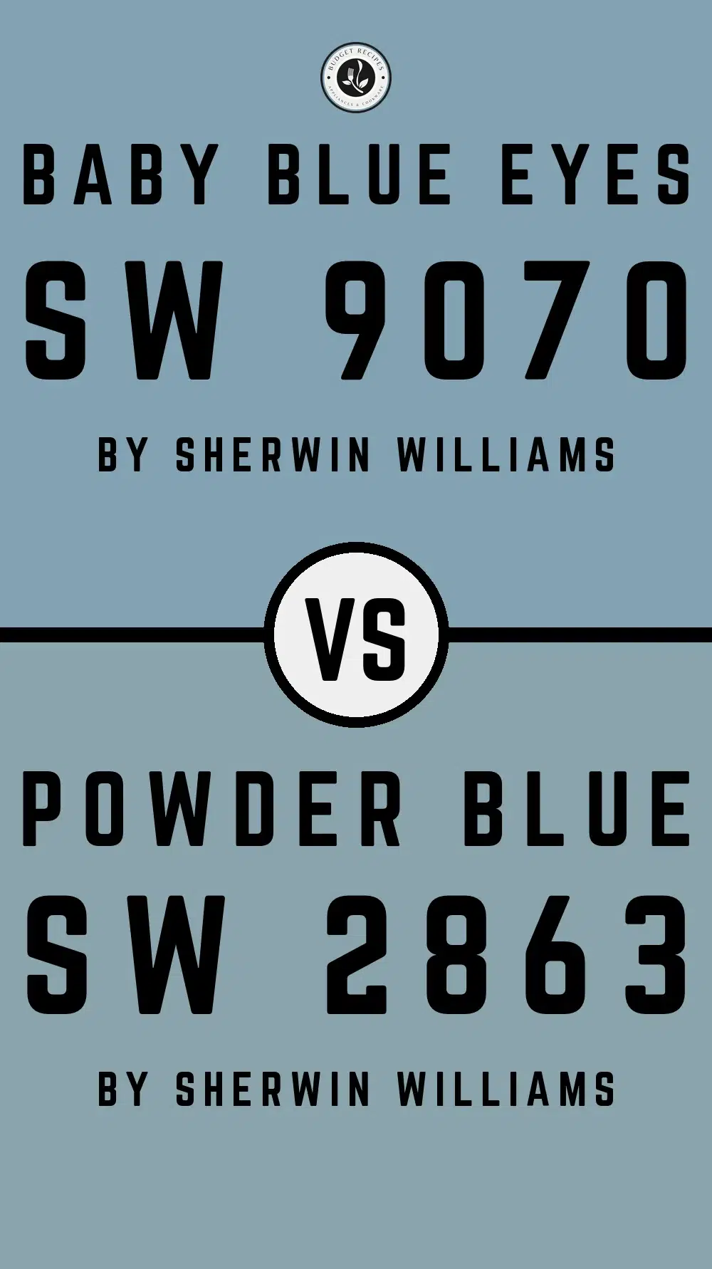 Baby Blue Eyes SW 9070 vs Powder Blue SW 2863