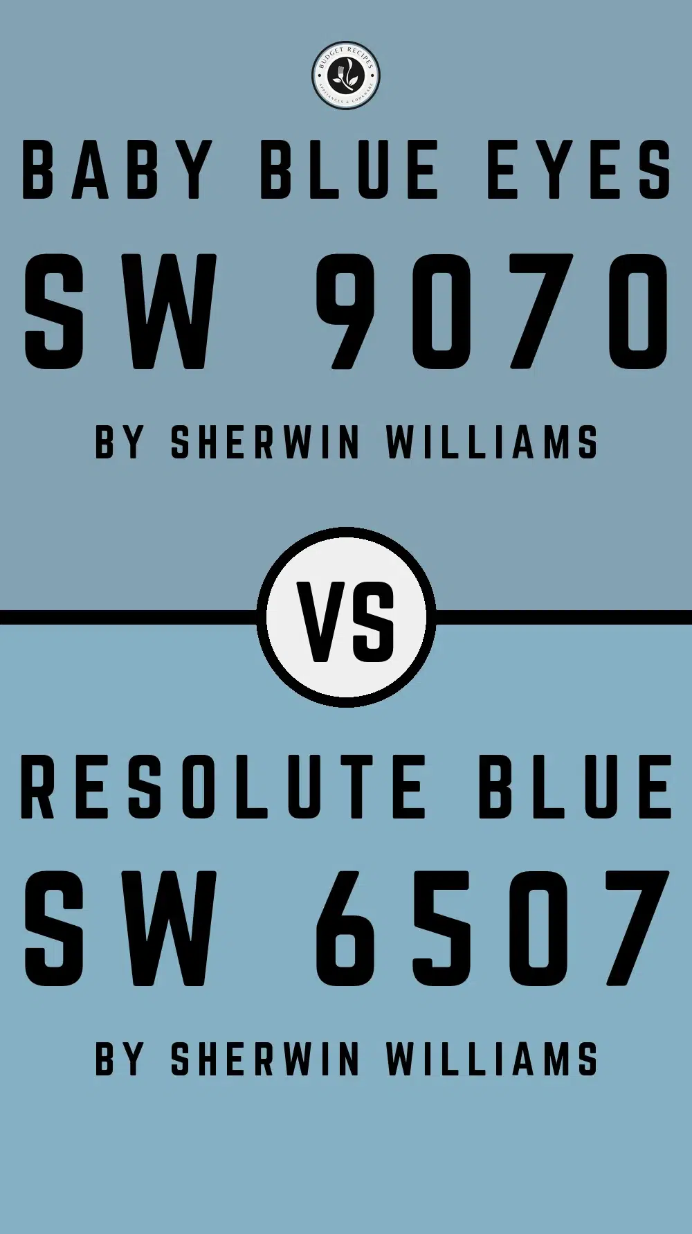 Baby Blue Eyes SW 9070 vs Resolute Blue SW 6507