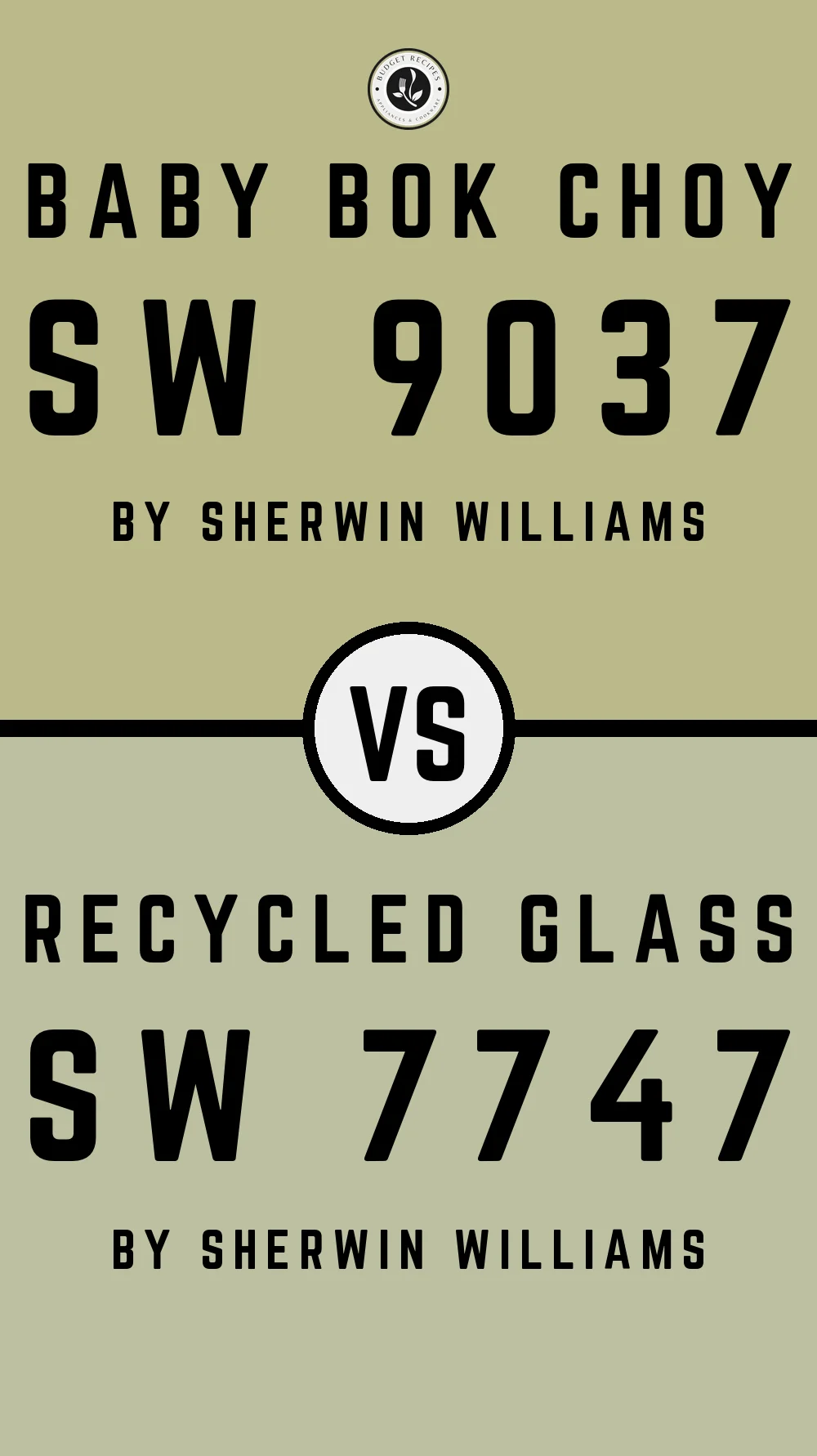 Baby Bok Choy SW 9037 vs Recycled Glass SW 7747