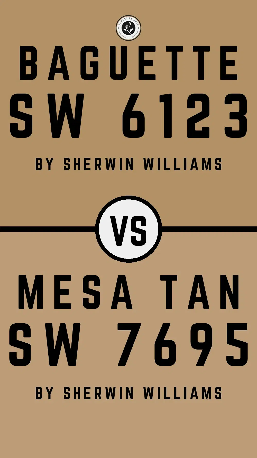 Baguette SW 6123 vs Mesa Tan SW 7695