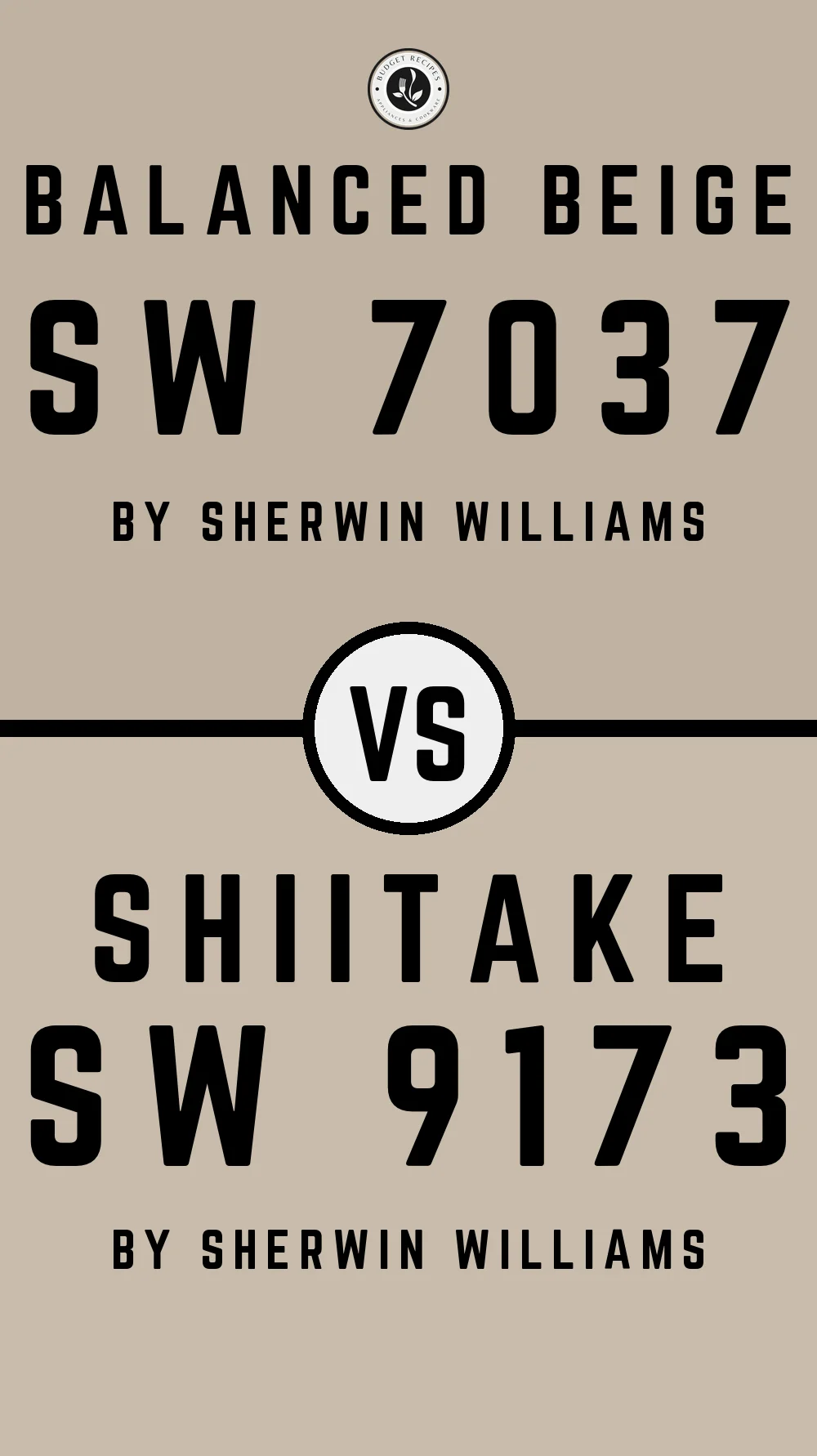Balanced Beige by Sherwin Williams SW 7037 vs Shiitake SW 9173