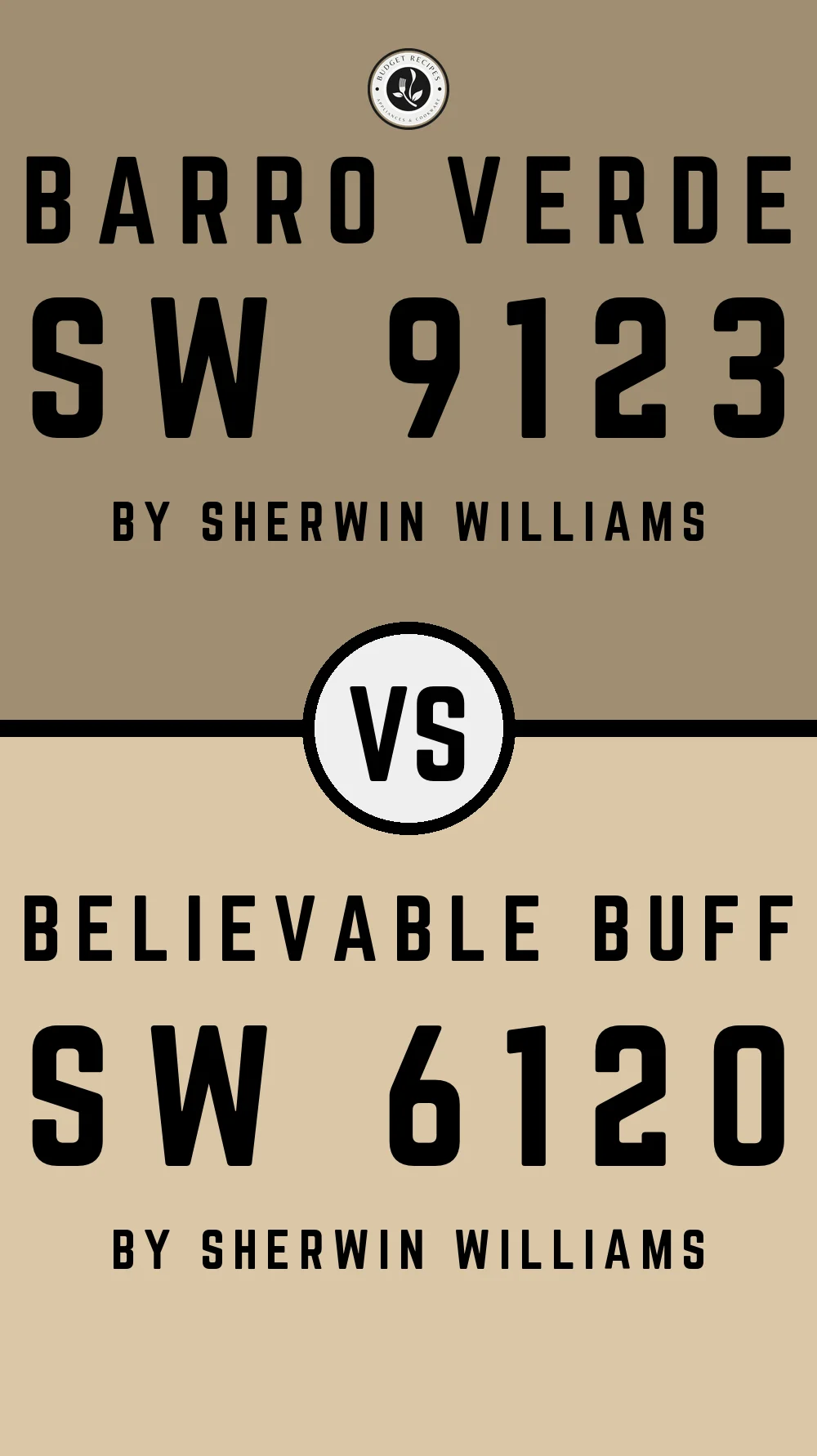 Barro Verde SW 9123 vs Believable Buff SW 6120