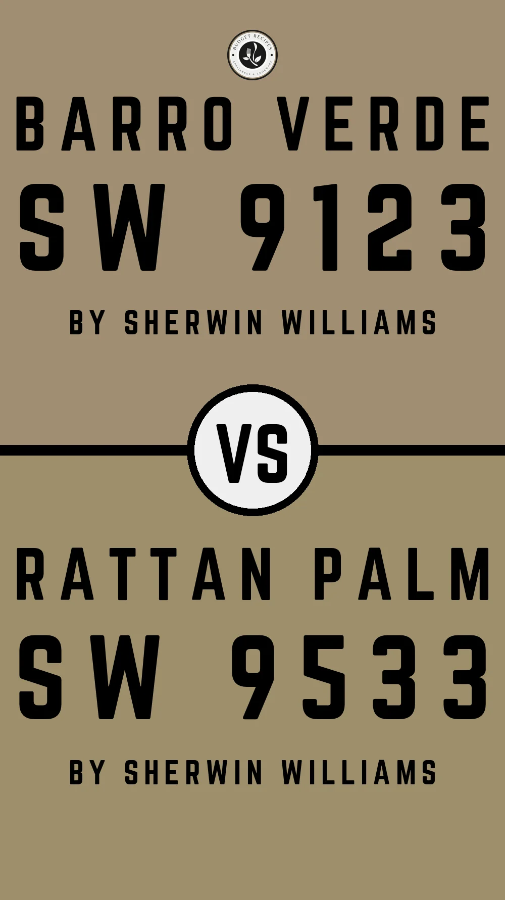 Barro Verde SW 9123 vs Rattan Palm SW 9533