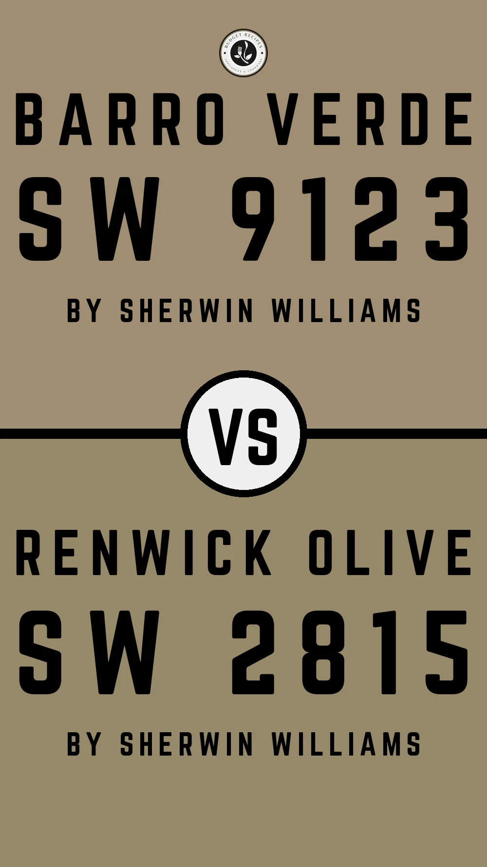 Barro Verde SW 9123 vs Renwick Olive SW 2815