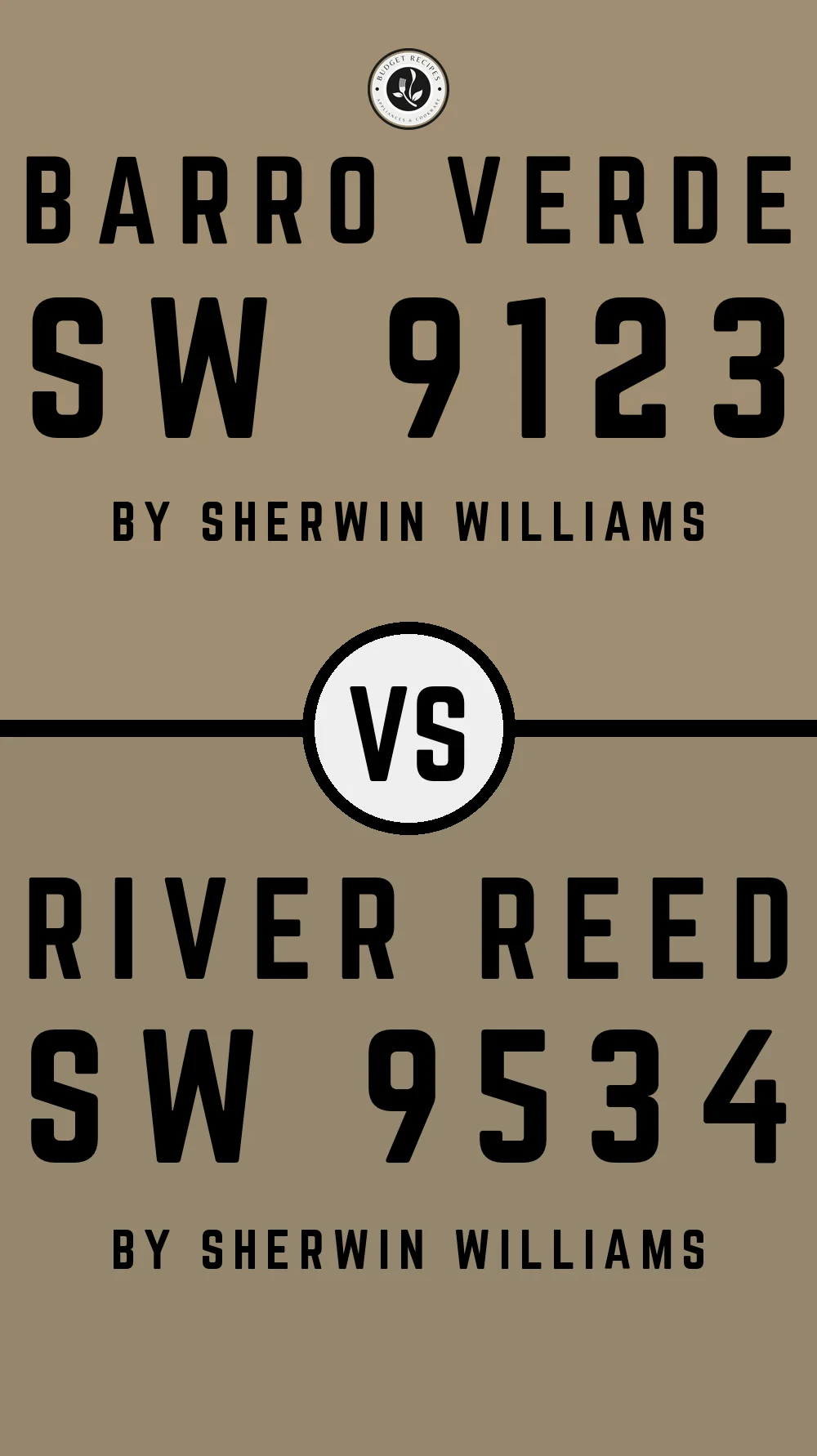 Barro Verde SW 9123 vs River Reed SW 9534