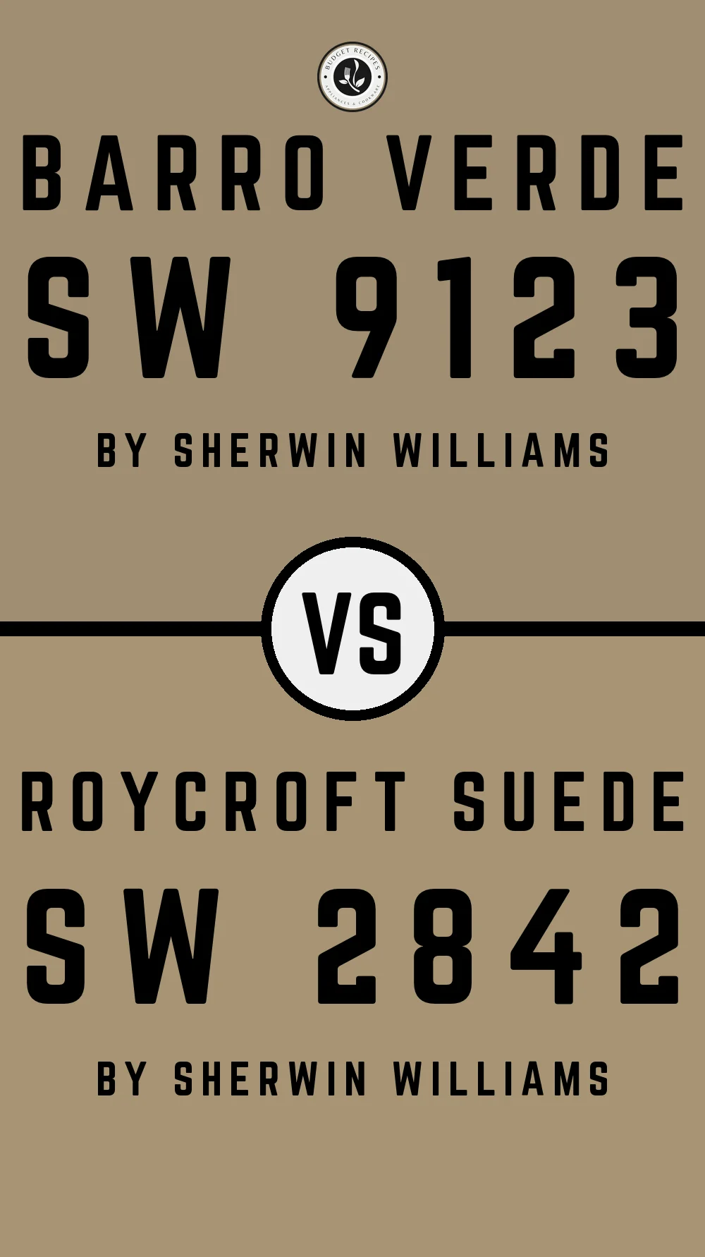 Barro Verde SW 9123 vs Roycroft Suede SW 2842