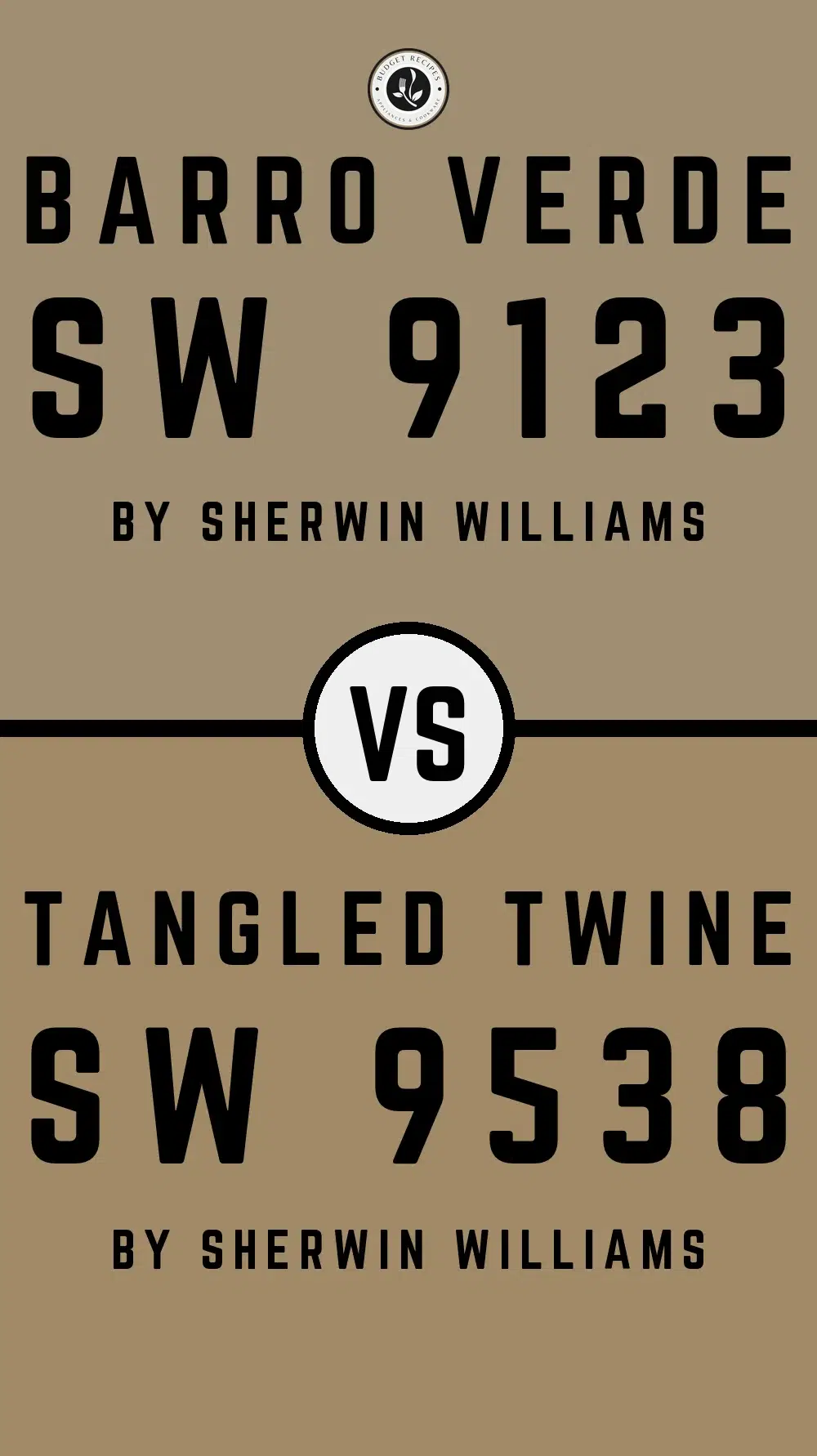Barro Verde SW 9123 vs Tangled Twine SW 9538