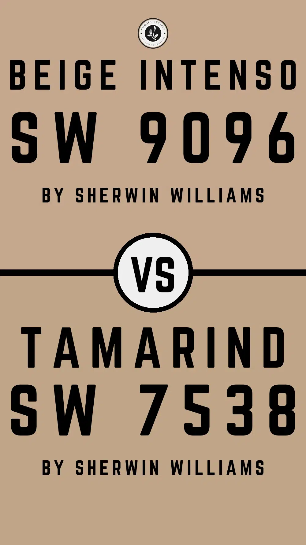 Beige Intenso SW 9096 vs Tamarind SW 7538