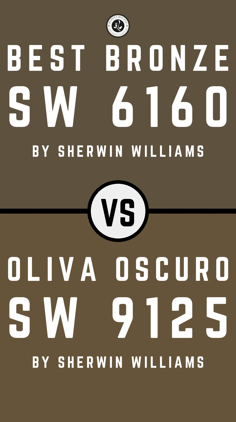 Best Bronze SW 6160 vs Oliva Oscuro SW 9125