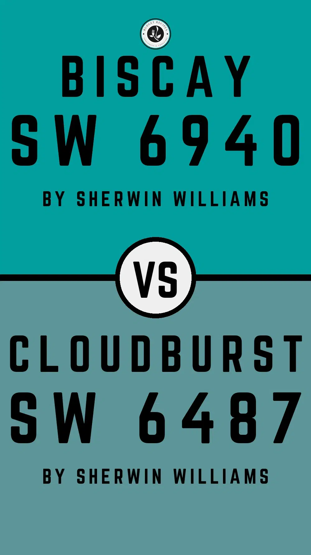 Biscay SW 6940 vs Cloudburst SW 6487