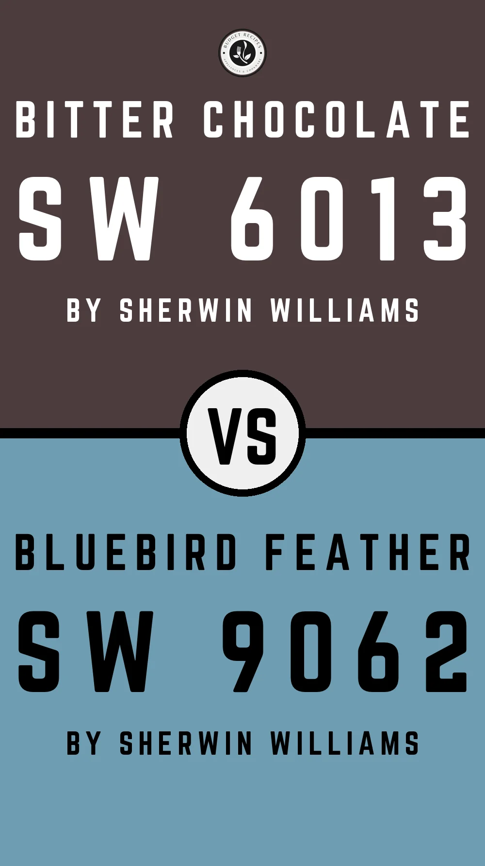 Bitter Chocolate SW 6013 vs Bluebird Feather SW 9062