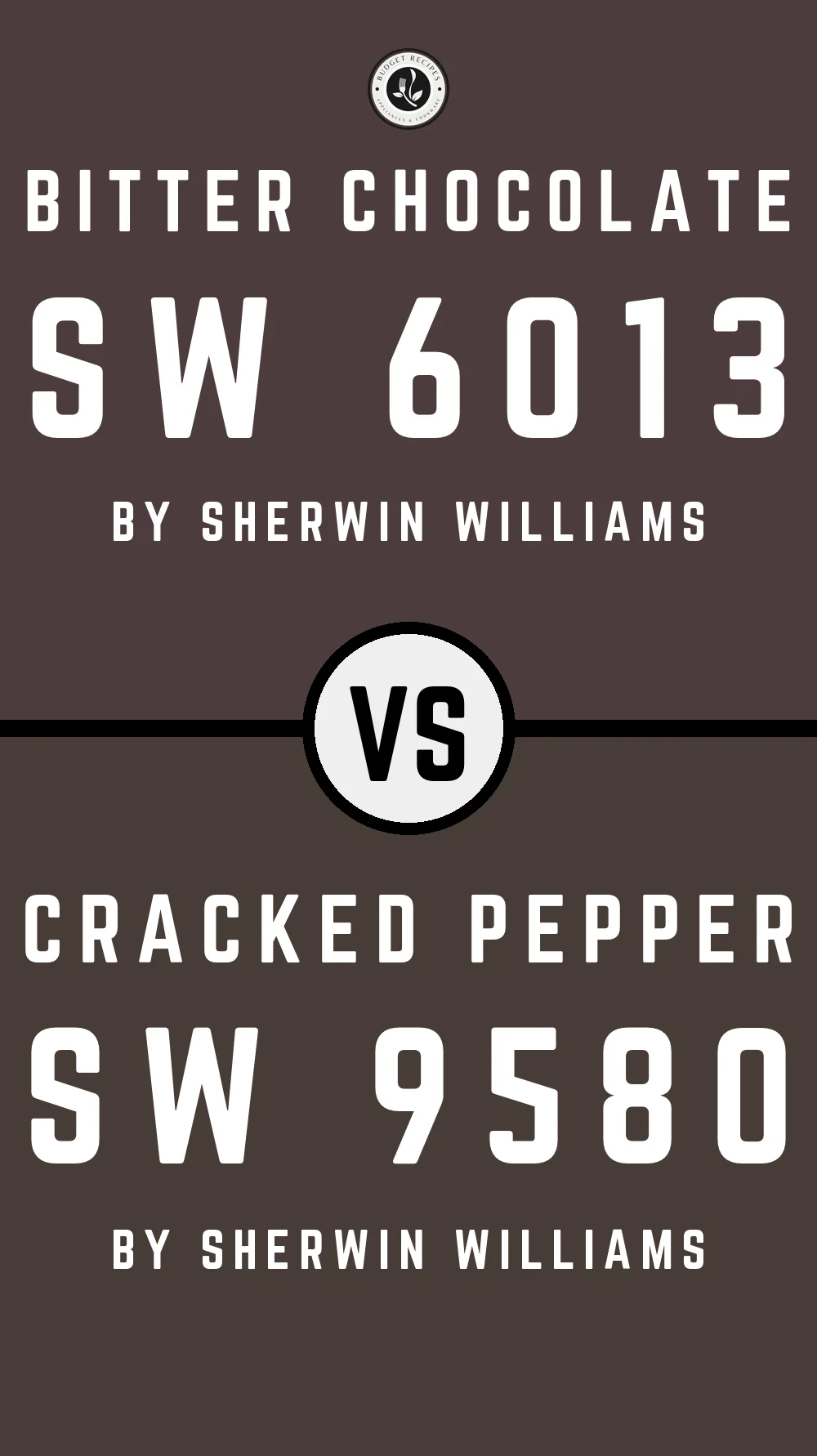 Bitter Chocolate SW 6013 vs Cracked Pepper SW 9580