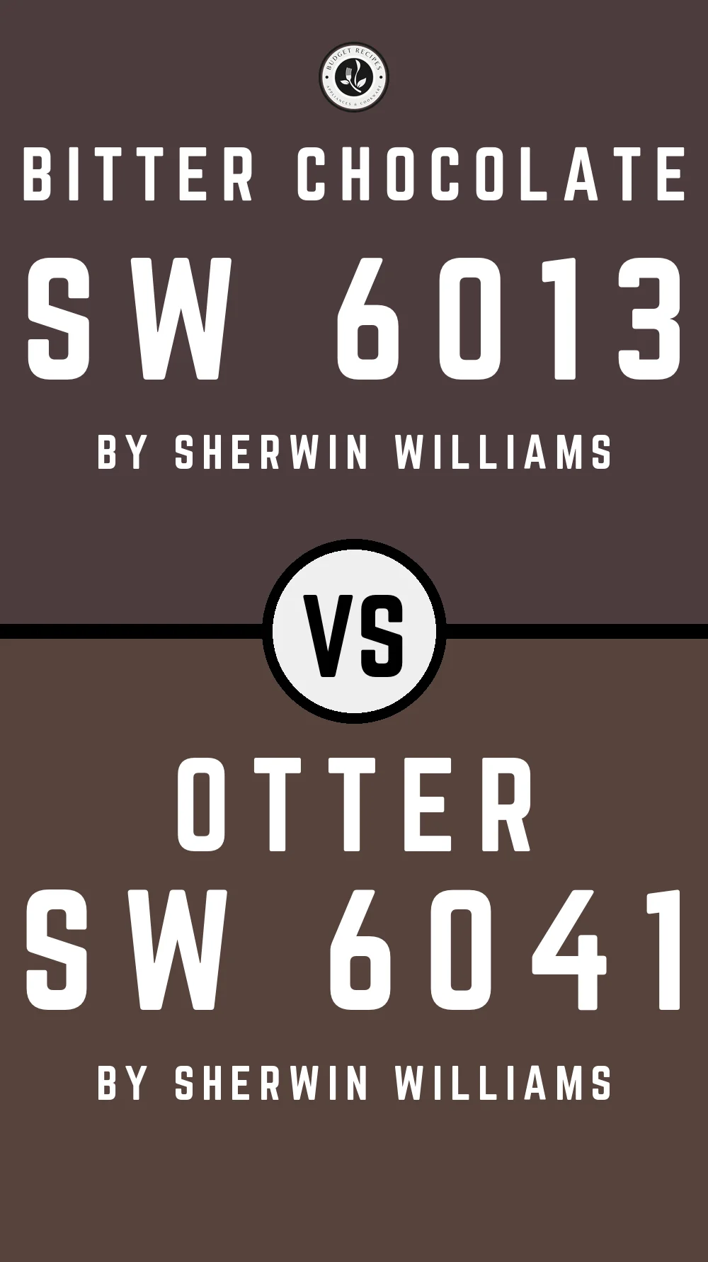 Bitter Chocolate SW 6013 vs Otter SW 6041